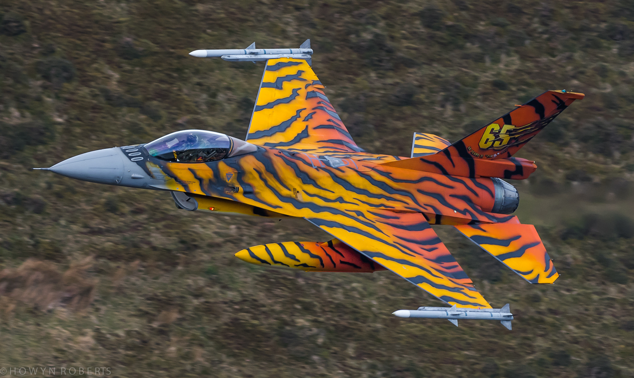 Nikon AF-S Nikkor 300mm F2.8G ED VR II sample photo