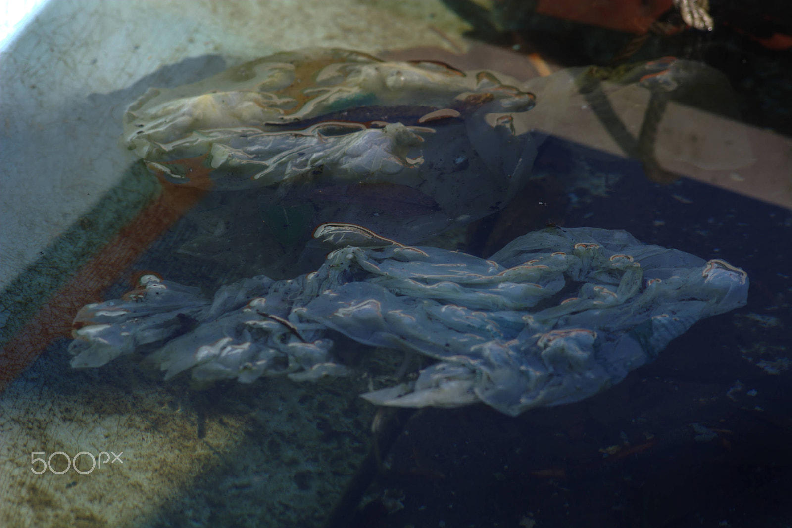 Nikon AF-Nikkor 80-200mm F2.8D ED sample photo. Fish shaped polythene floating on water in a boat photography