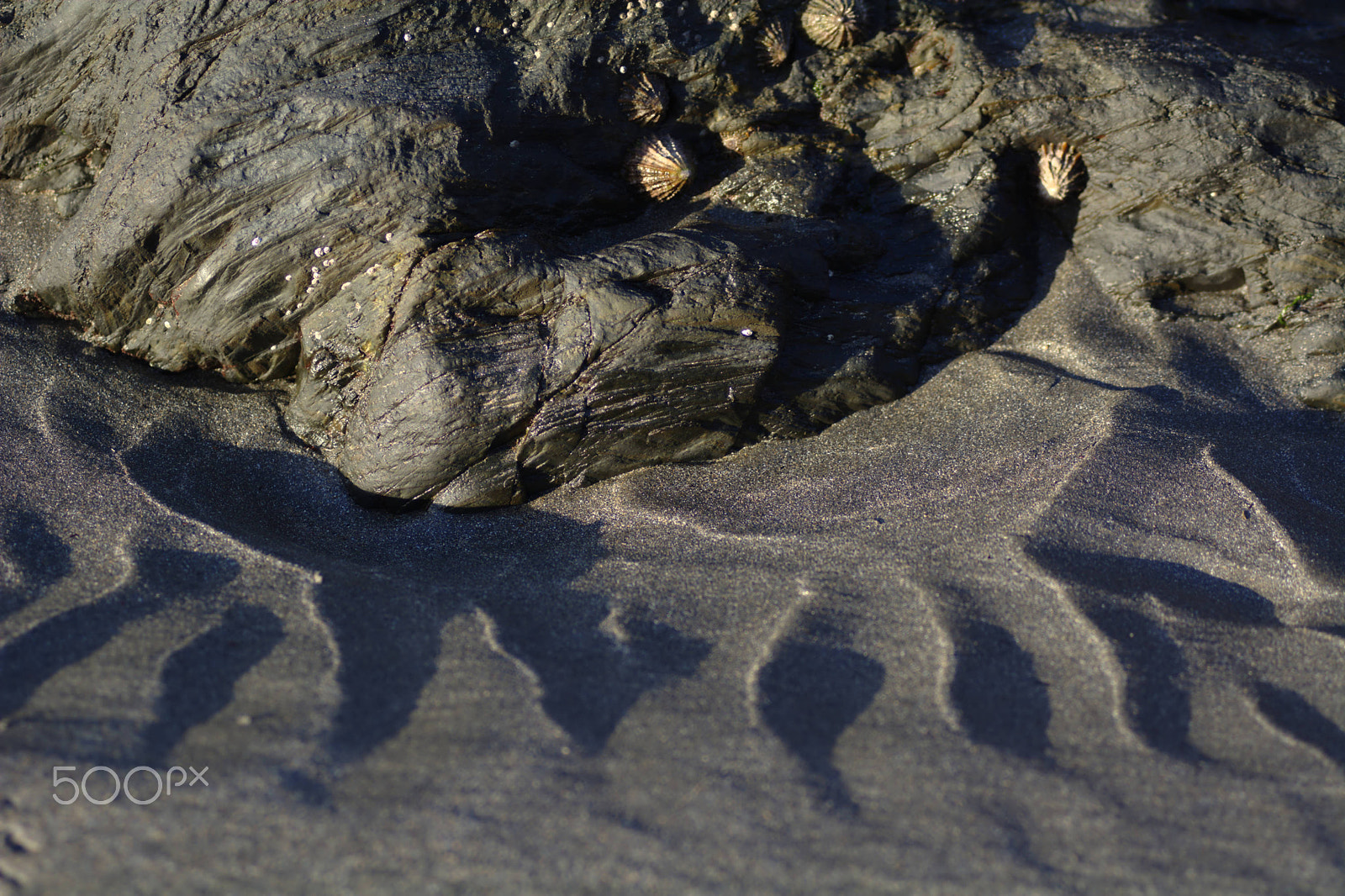 Nikon D7100 sample photo. Rock and sand shapes on a beach photography