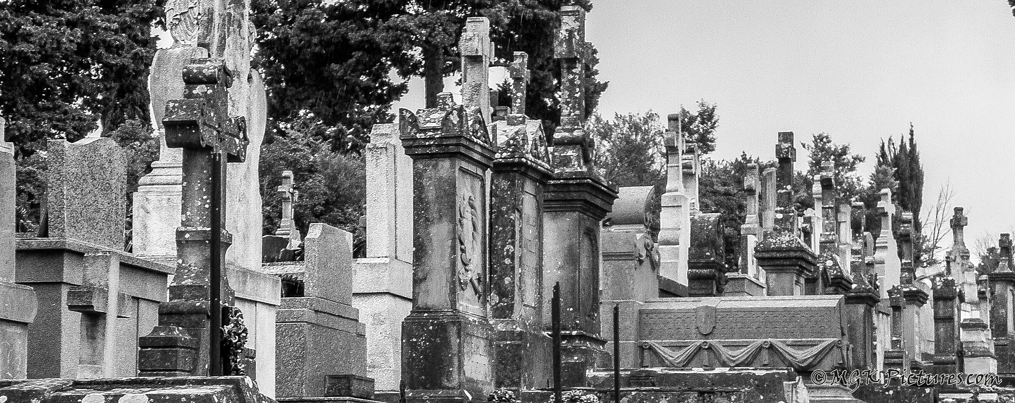 Olympus SP560UZ sample photo. Carcassonne graveyard photography