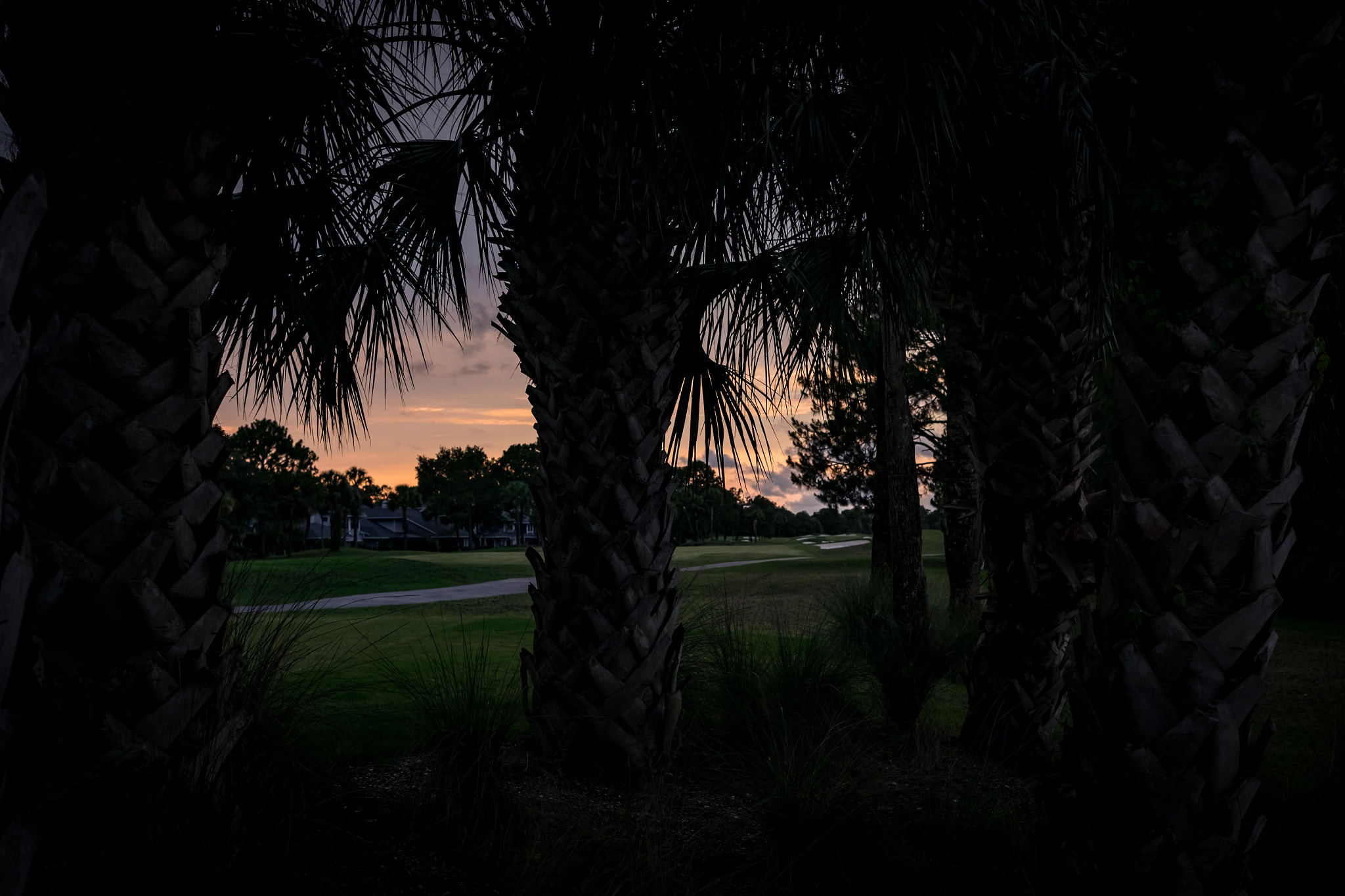 Fujifilm X-E2 + Fujifilm XF 27mm F2.8 sample photo. Sunset and palms photography