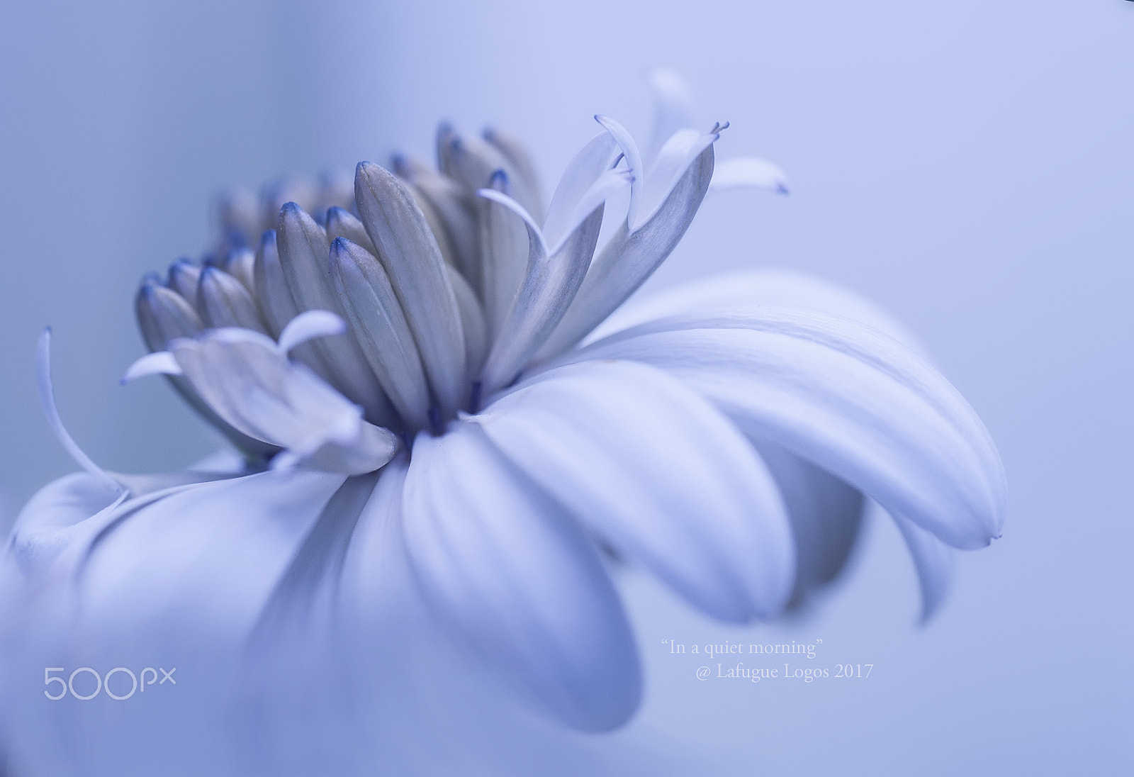 Nikon D700 sample photo. In a quiet morning photography