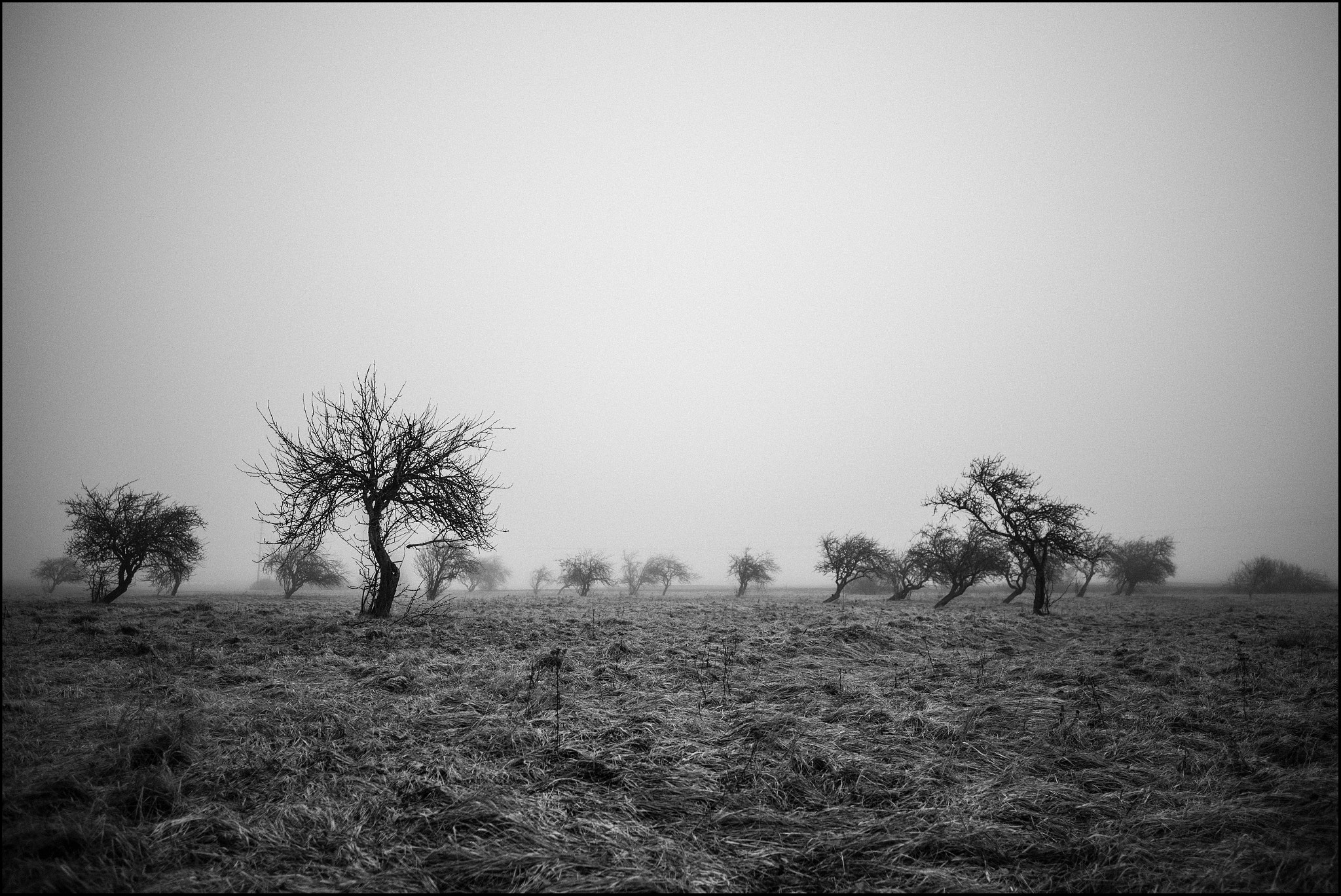 Canon EF 24mm F2.8 IS USM sample photo. Garden of eden in winter photography