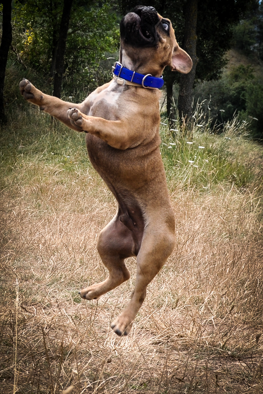 Nikon D5000 sample photo. Tango photography