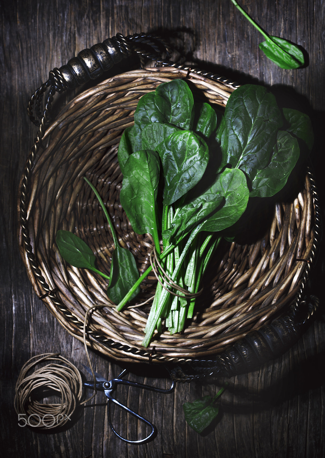 Canon EF 100mm F2.8 Macro USM sample photo. Fresh spinach photography