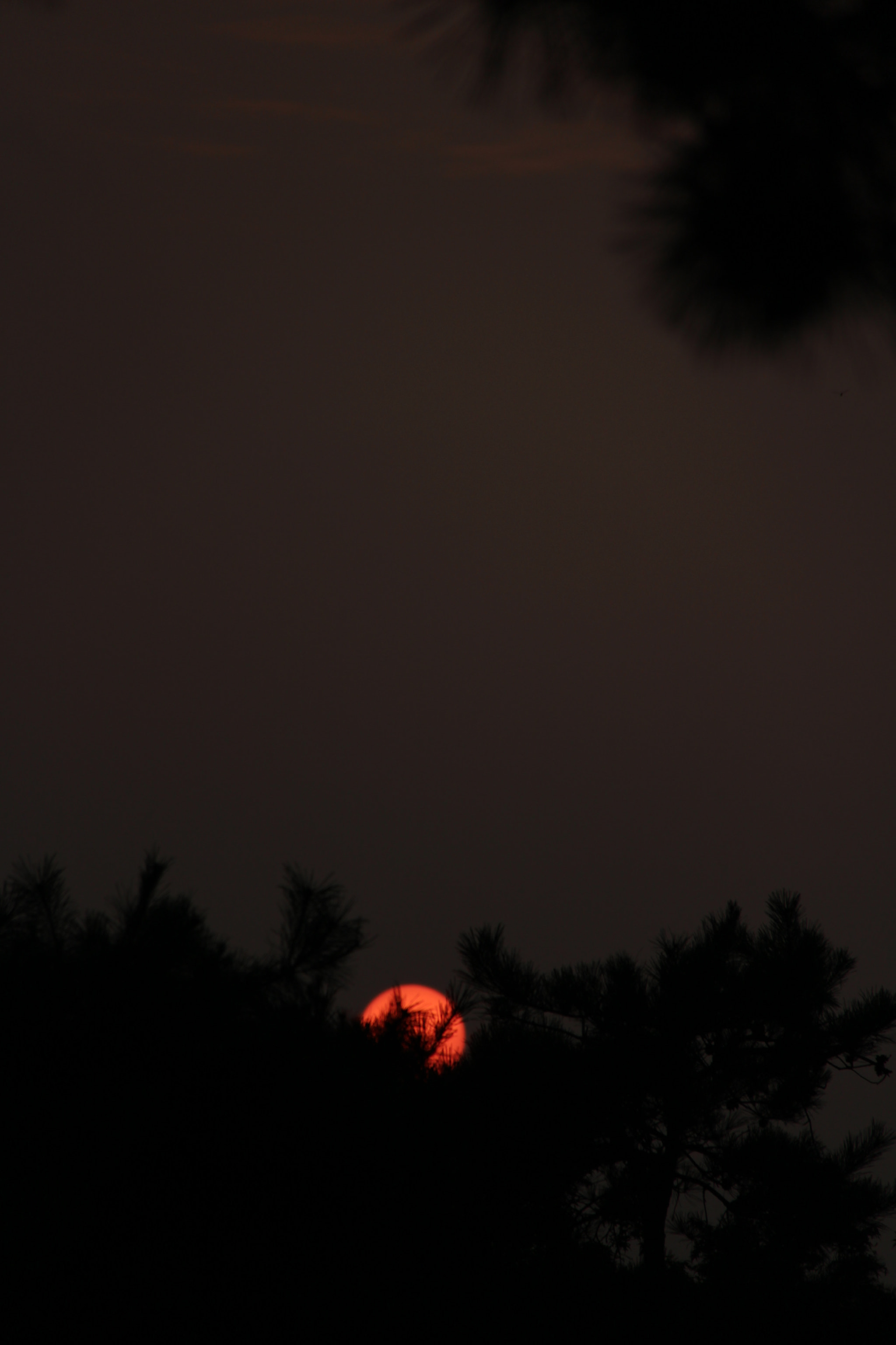 Canon EF-S 18-200mm F3.5-5.6 IS sample photo. 내일``` 만나요^^ photography