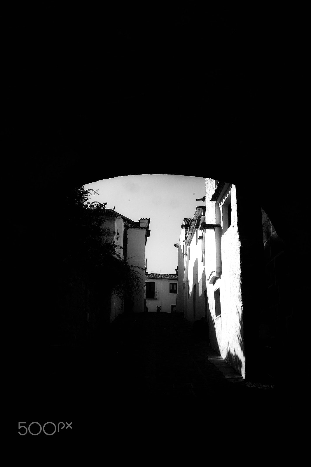 Sigma SD14 sample photo. Toward the light photography