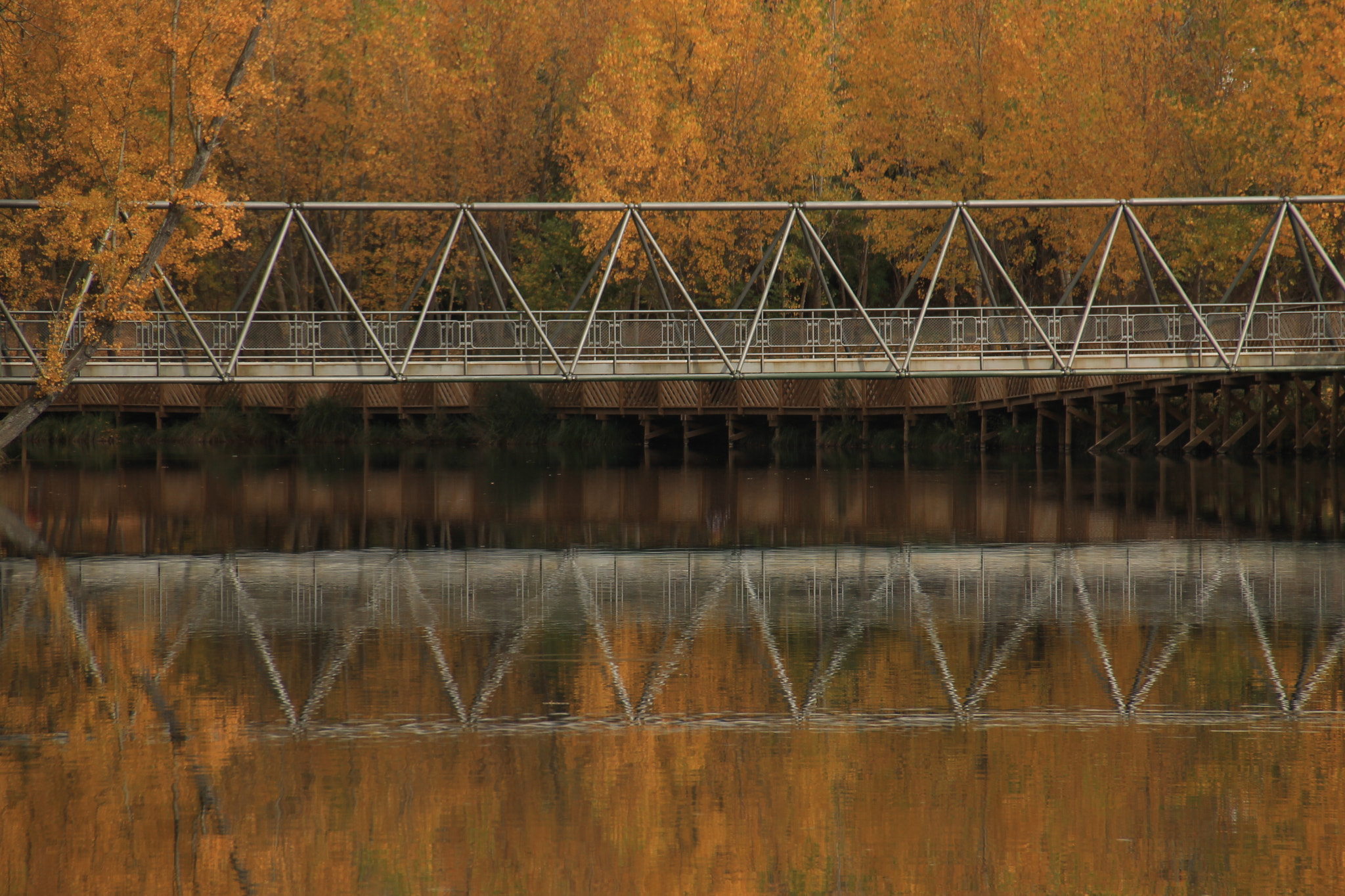 Canon EF-S 18-135mm F3.5-5.6 IS sample photo. Bridge photography