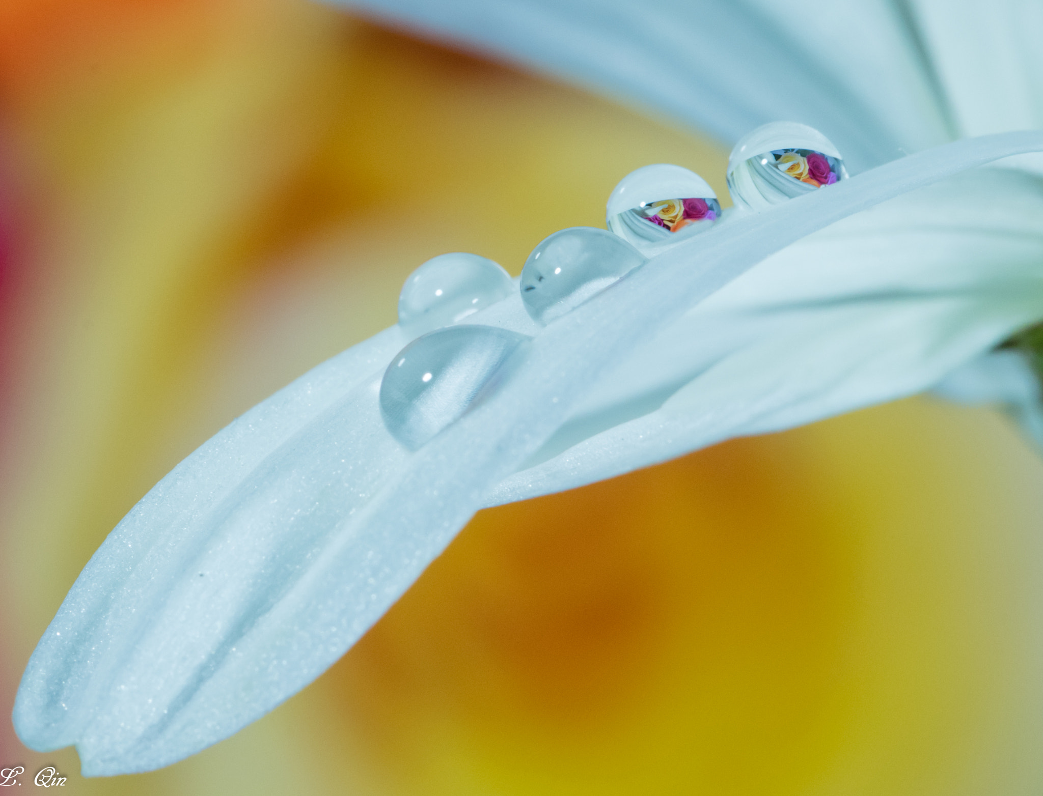 Canon EOS 5DS sample photo