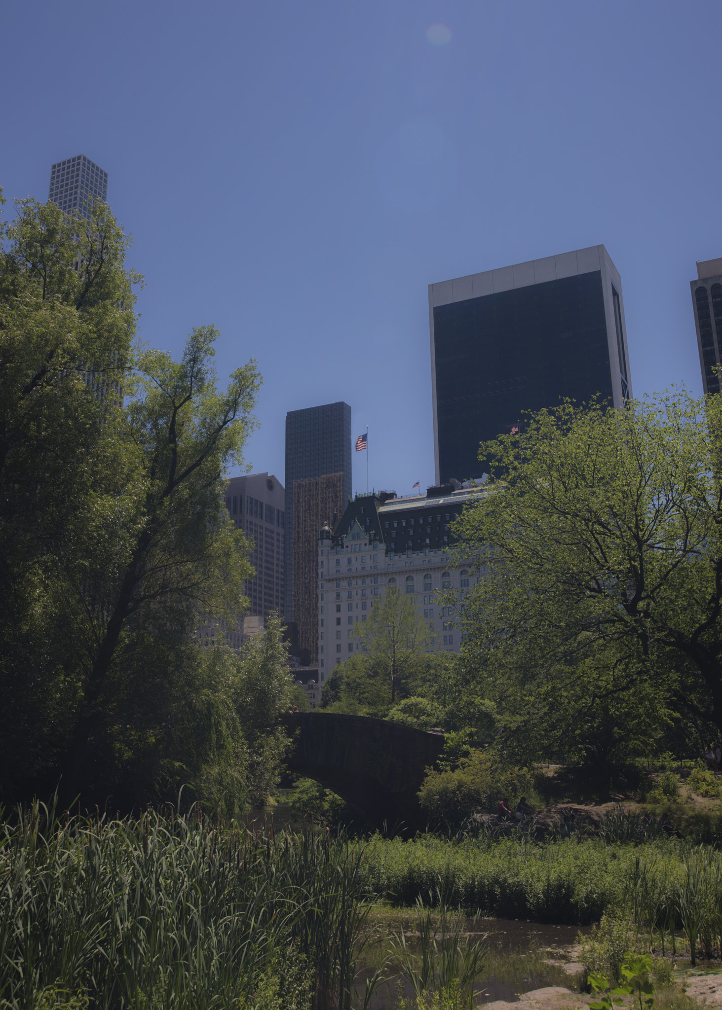 Nikon D810 sample photo. Central park view photography