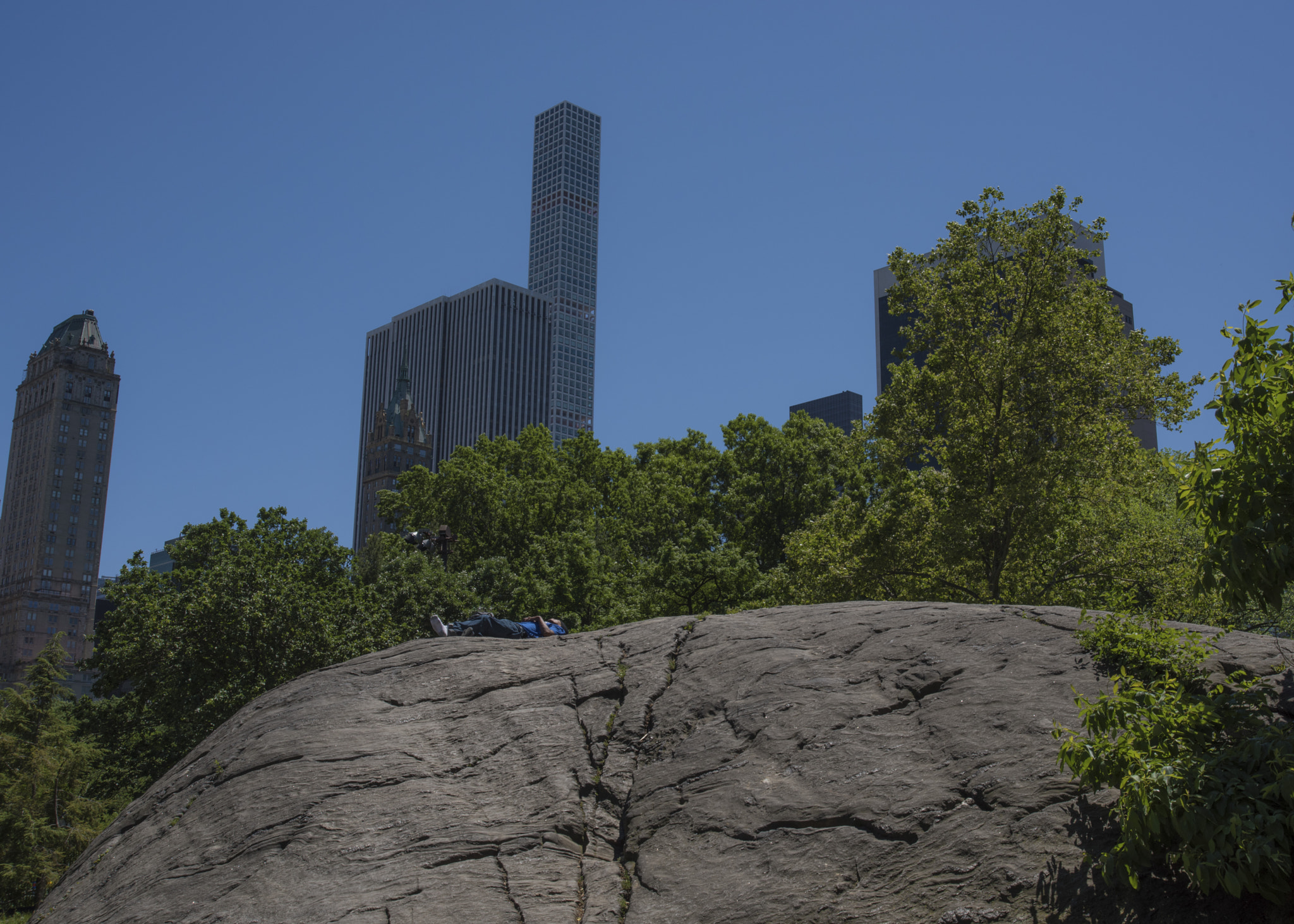 Nikon D810 sample photo. Black man in central park photography