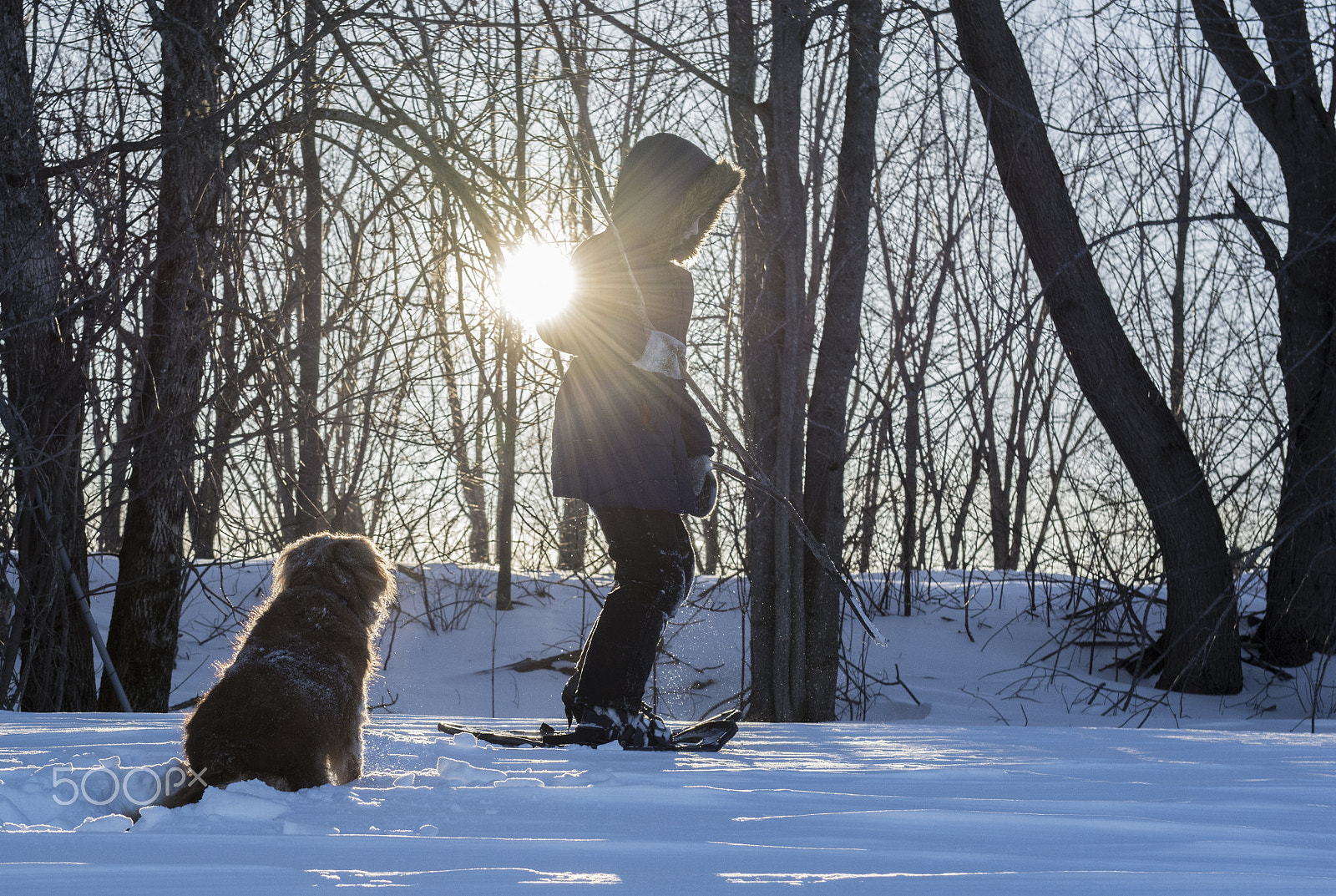 Nikon AF-S Nikkor 24-70mm F2.8G ED sample photo. Sunset photography