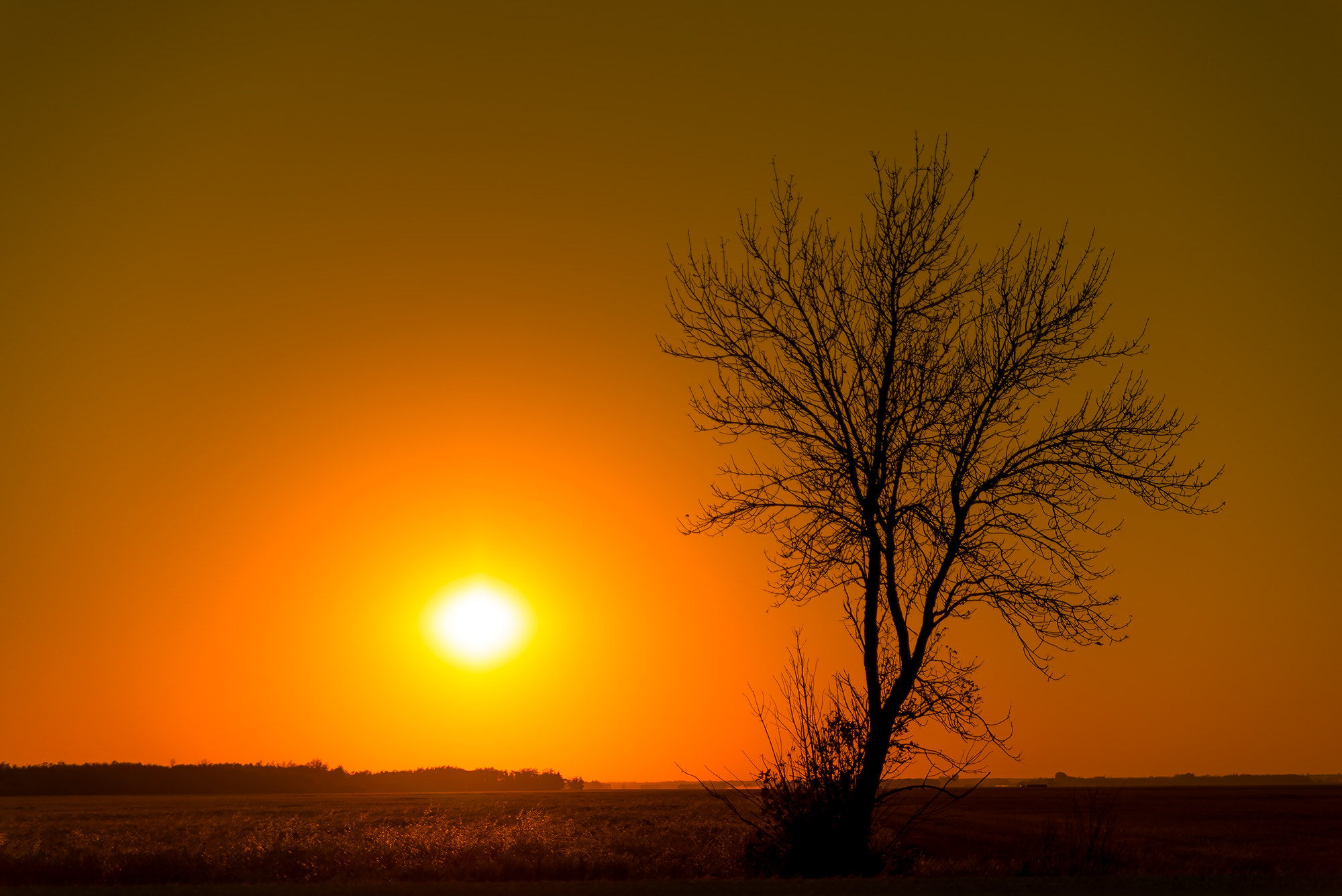 Nikon D600 + Sigma 24-70mm F2.8 EX DG HSM sample photo. In the field photography