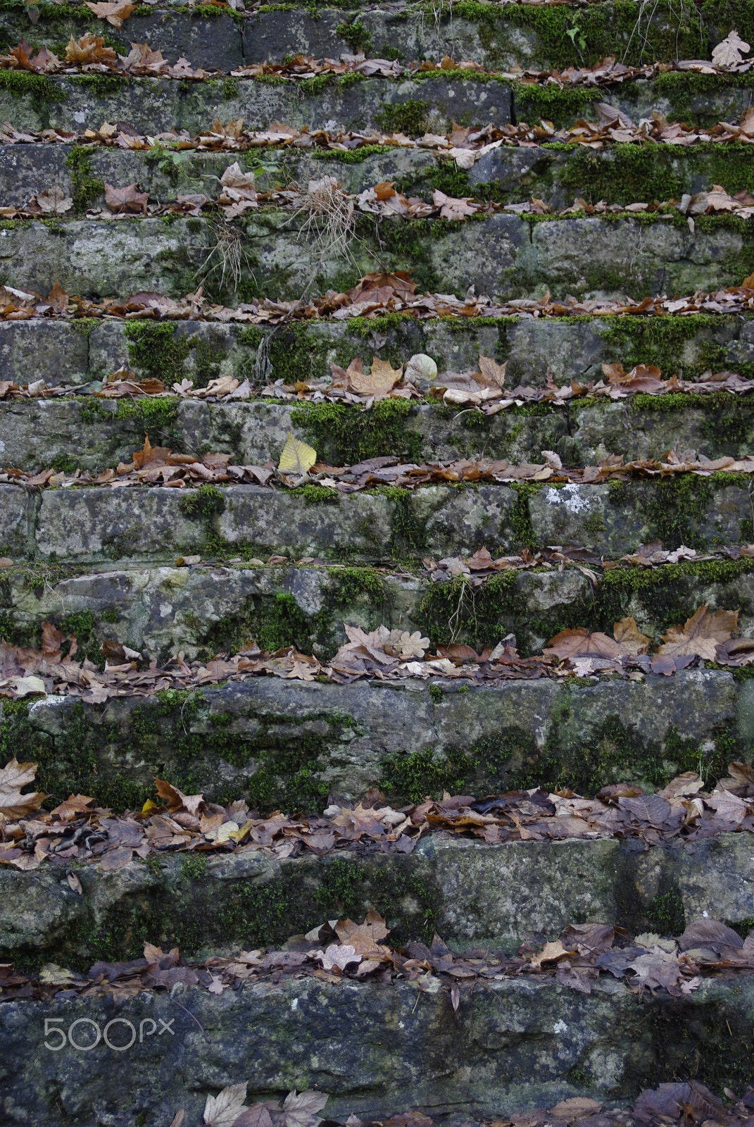 Pentax K200D sample photo. Moss stairs photography