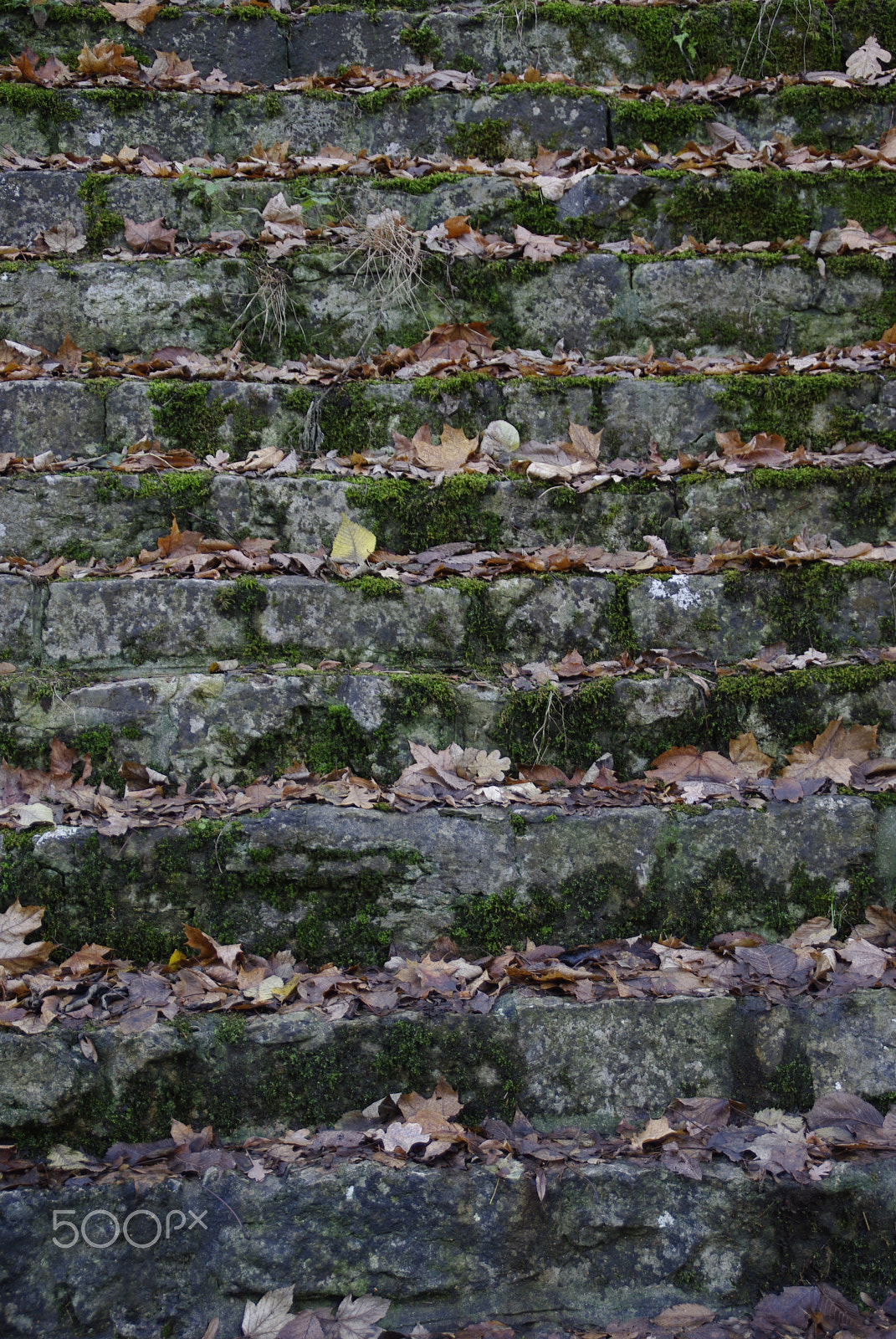 Tamron AF 18-200mm F3.5-6.3 XR Di II LD Aspherical (IF) Macro sample photo. Moss stairs photography
