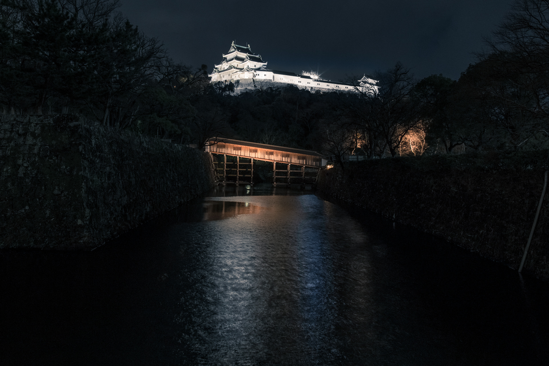 Canon EF 24mm F1.4L II USM sample photo. Wakayama castle (和歌山城) photography