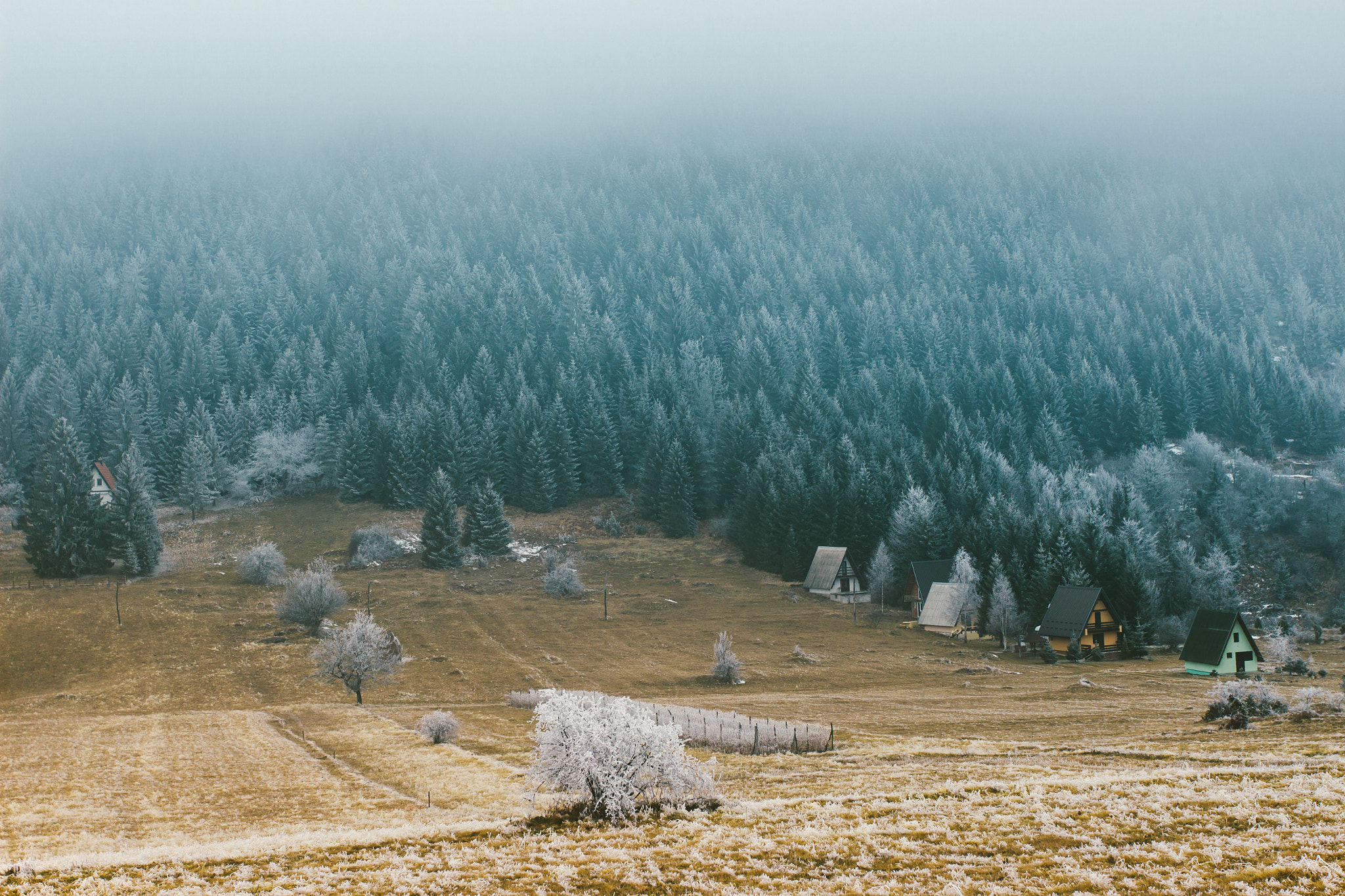 Canon EOS 600D (Rebel EOS T3i / EOS Kiss X5) + Canon EF 17-40mm F4L USM sample photo. Beautiful tara mountains in serbia photography