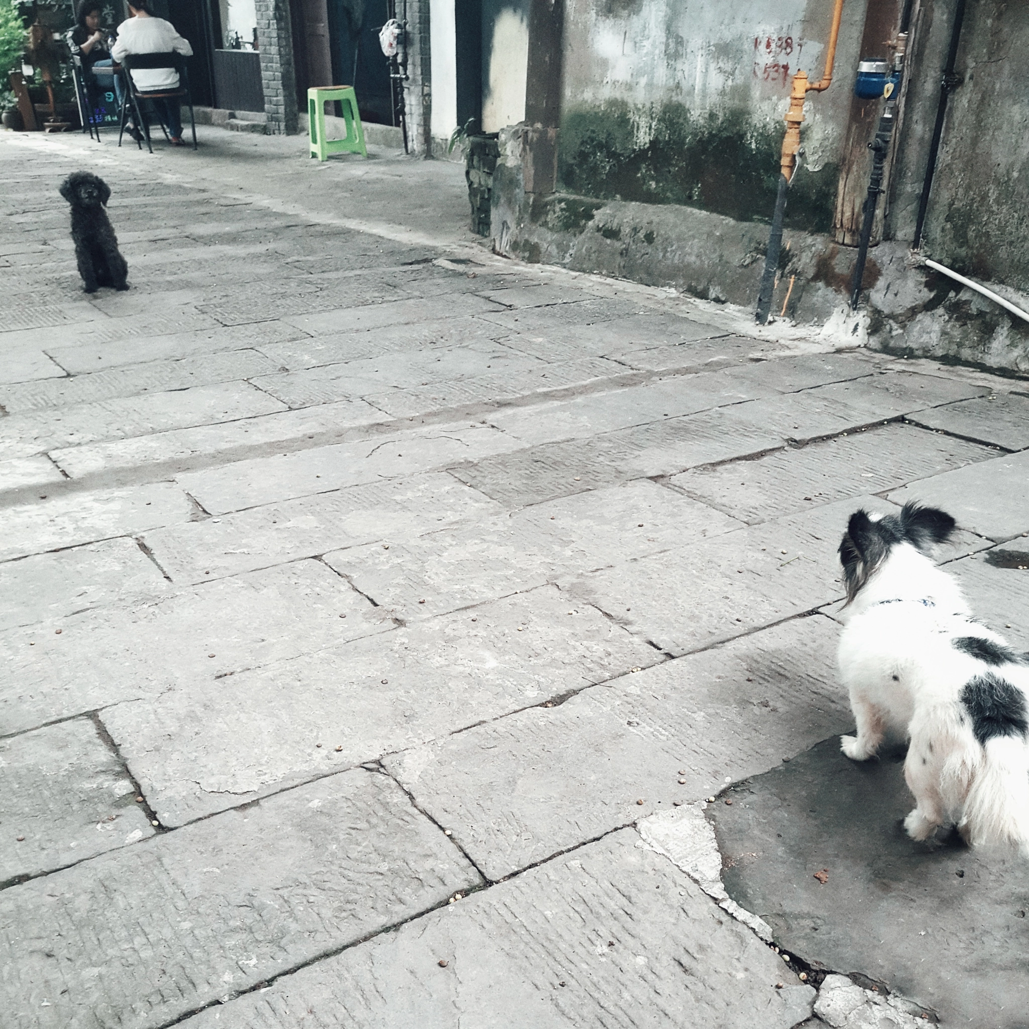Meizu PRO 5 sample photo. 相望 look at photography