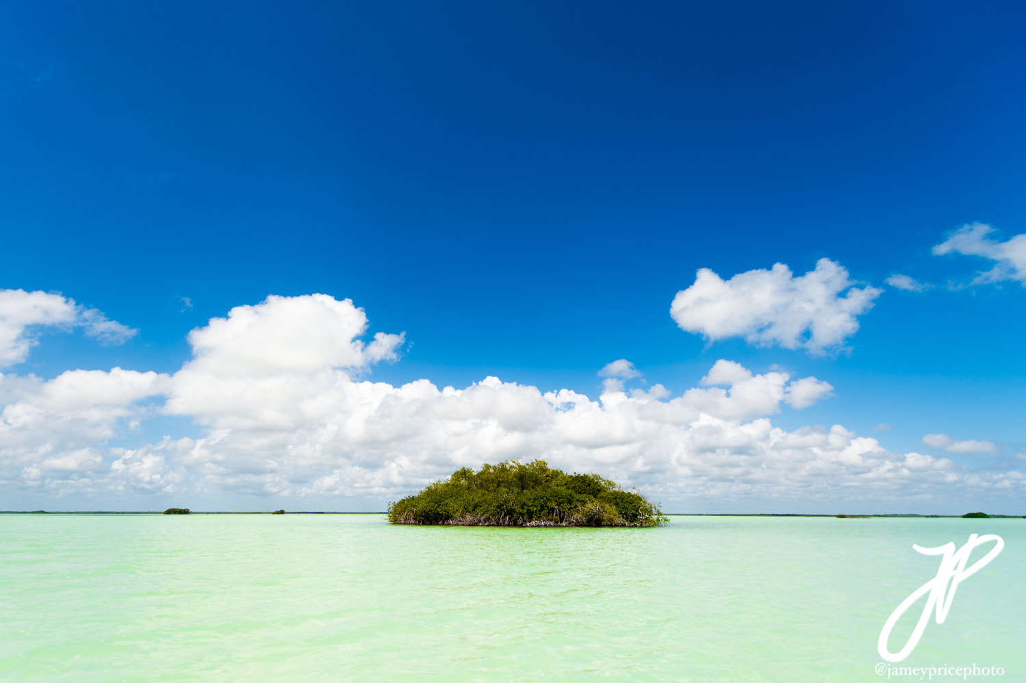 Nikon D4S sample photo. Snook island photography