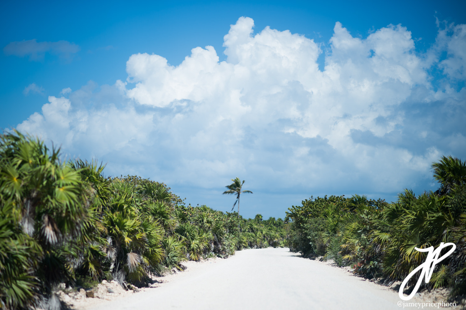 Nikon D4S + Nikon AF-S Nikkor 85mm F1.8G sample photo. The road less traveled photography