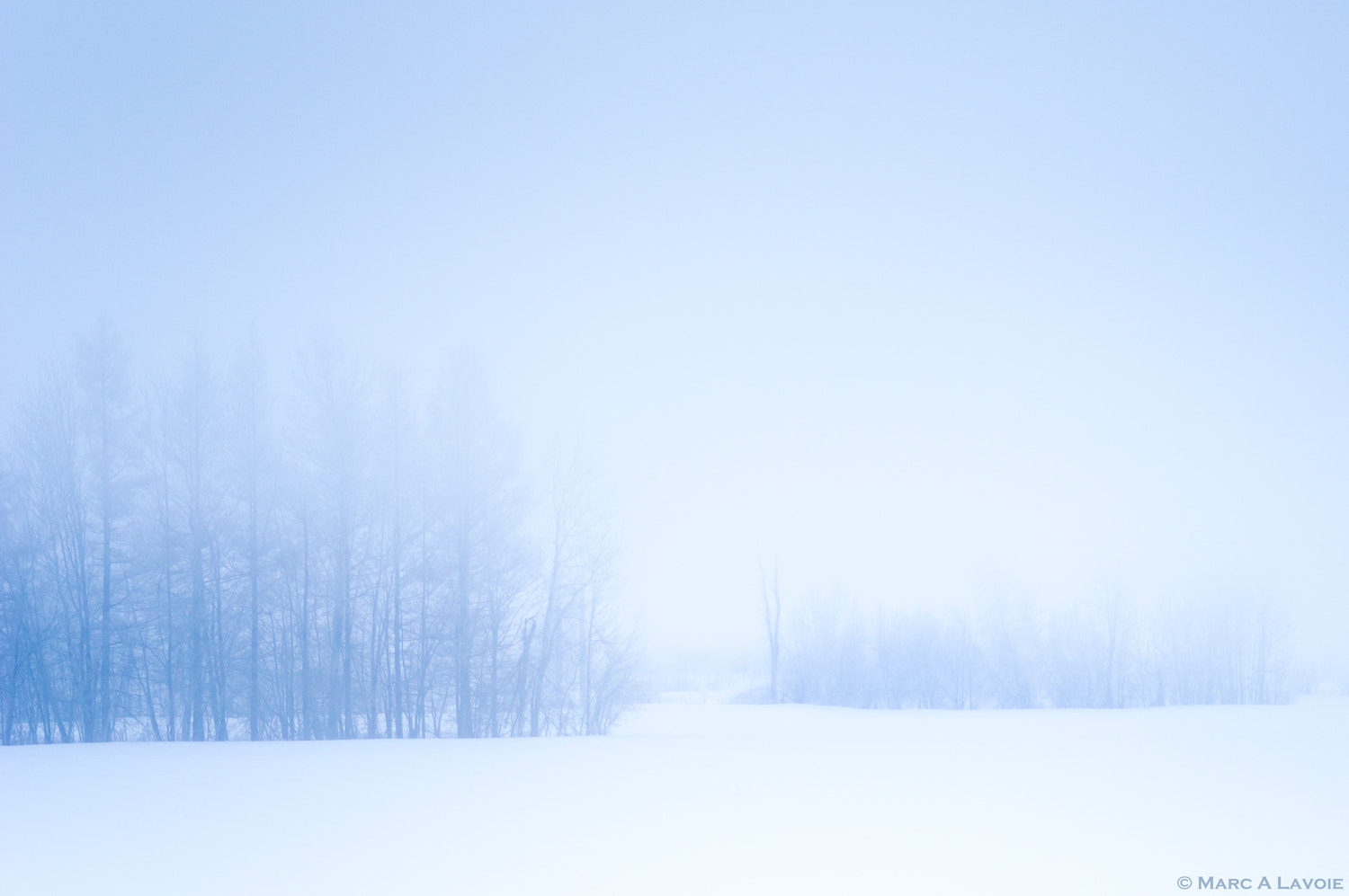 Pentax K-3 sample photo. Snow and fog photography