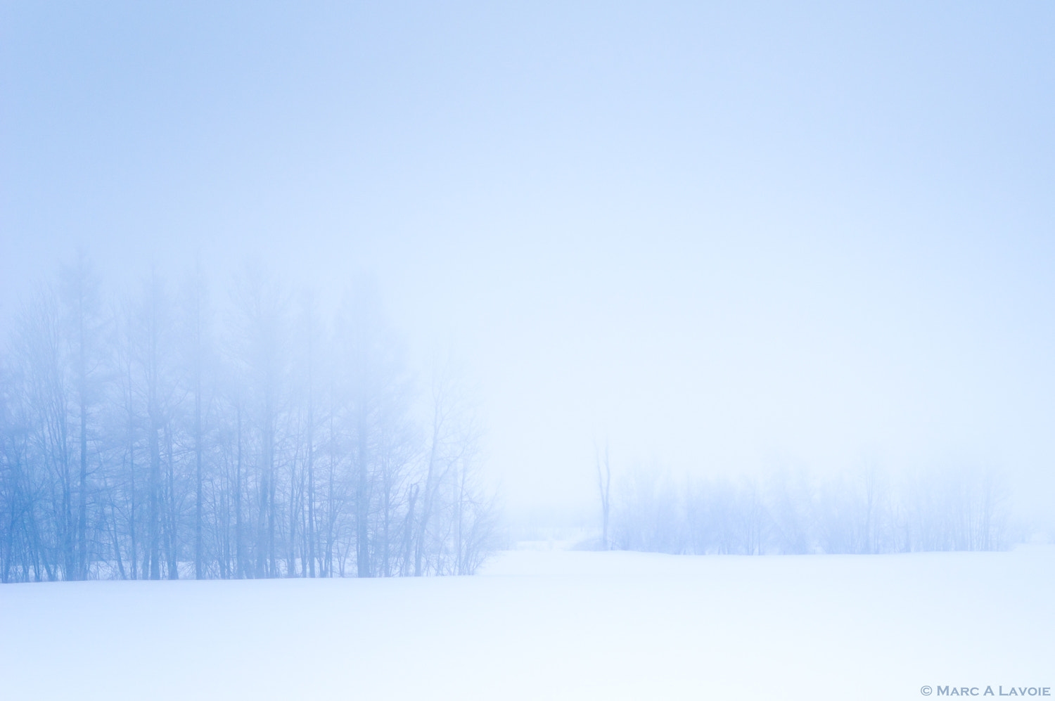 HD Pentax DA 55-300mm F4.0-5.8 ED WR sample photo. Snow and fog photography