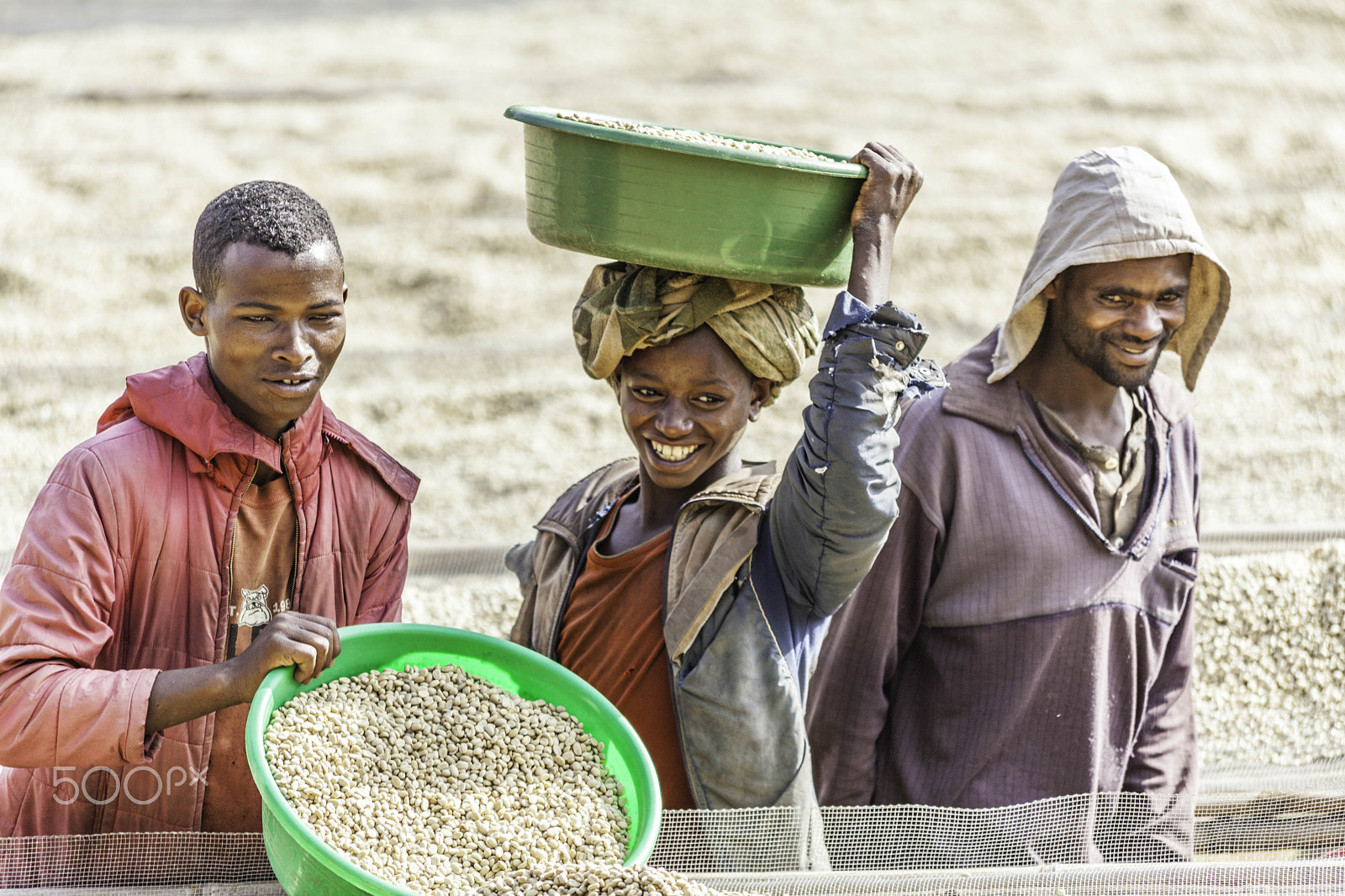 Canon EF 70-300mm F4-5.6 IS USM sample photo. Ethiopian coffe workers photography