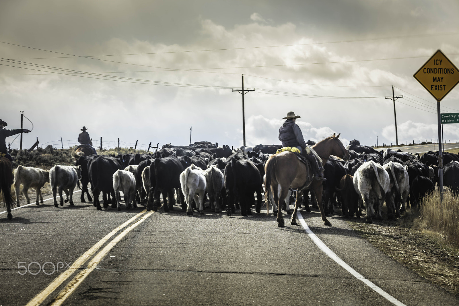 Canon EF 70-200mm F2.8L USM sample photo. Cowboys herding their cattle photography