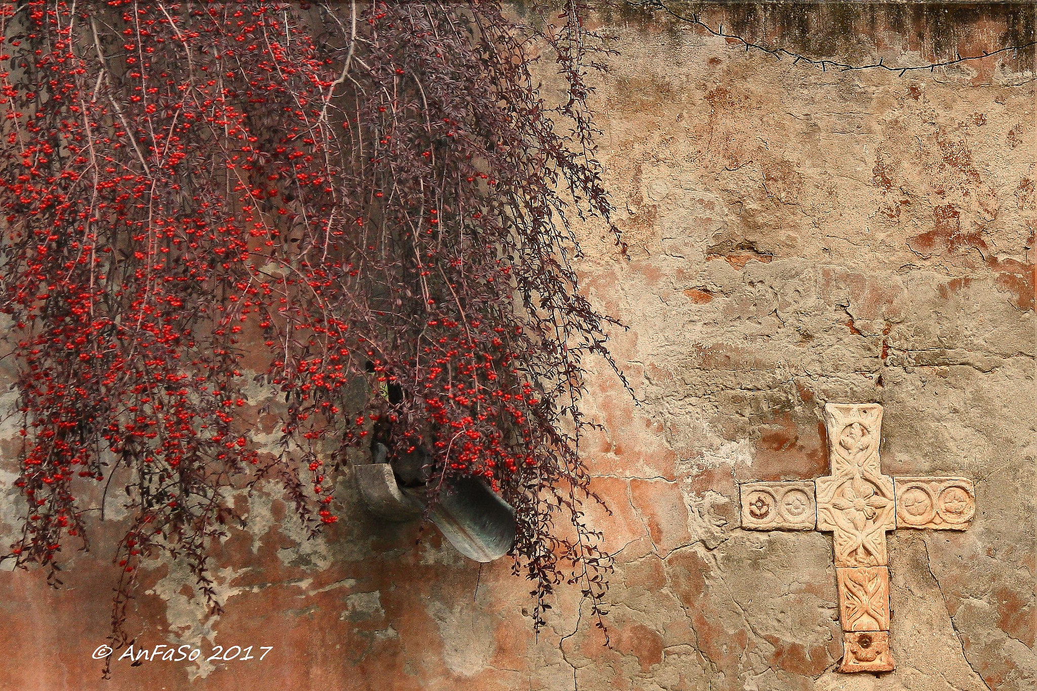 Canon EF 70-300mm F4-5.6 IS USM sample photo. Sul muro di venezia.... photography