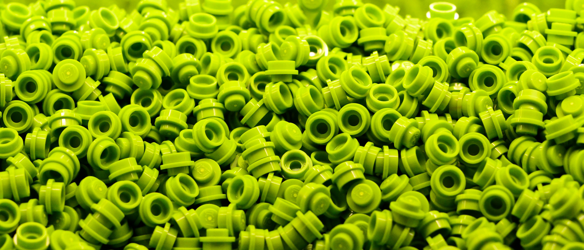 Nikon D3100 + Nikon AF-S Nikkor 50mm F1.4G sample photo. Neon green. photography