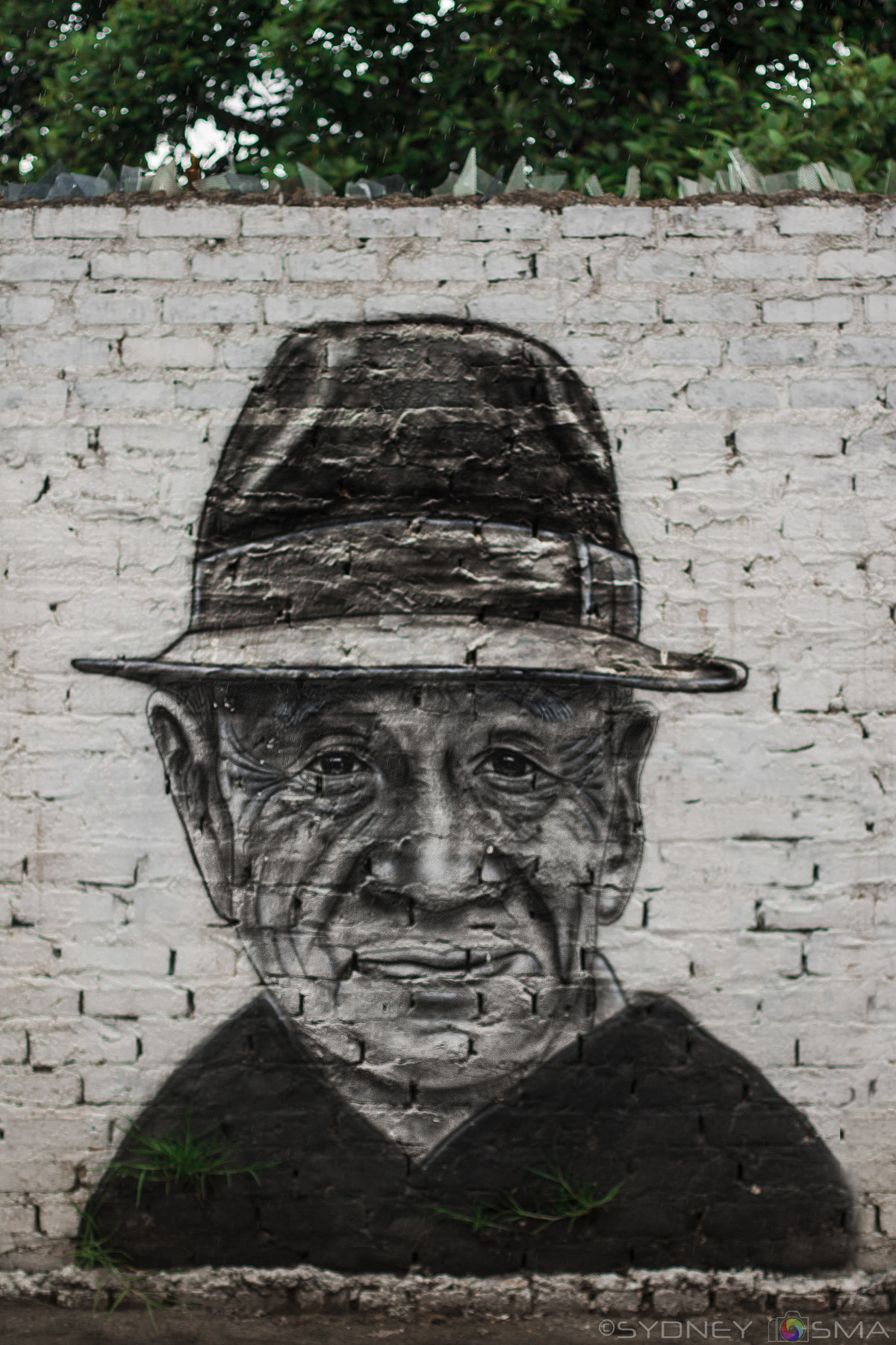 Canon EOS 760D (EOS Rebel T6s / EOS 8000D) sample photo. Graffiti 4 photography