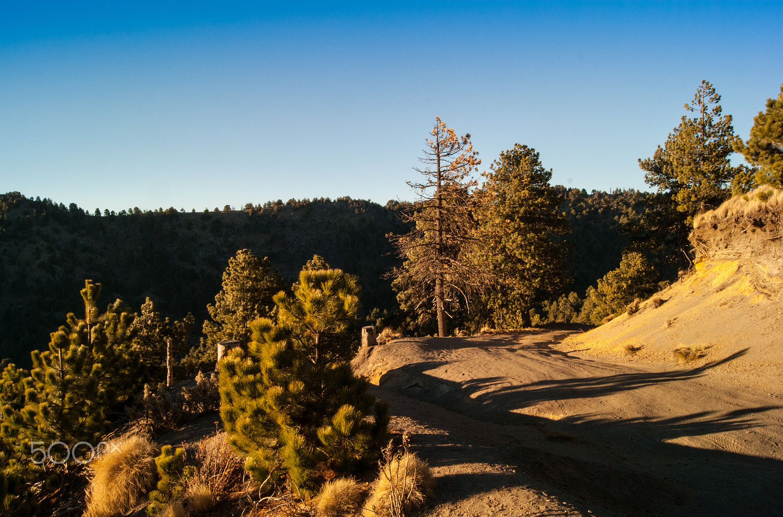 Sony Alpha DSLR-A380 + Sony DT 18-55mm F3.5-5.6 SAM sample photo. Warm lights on the road photography