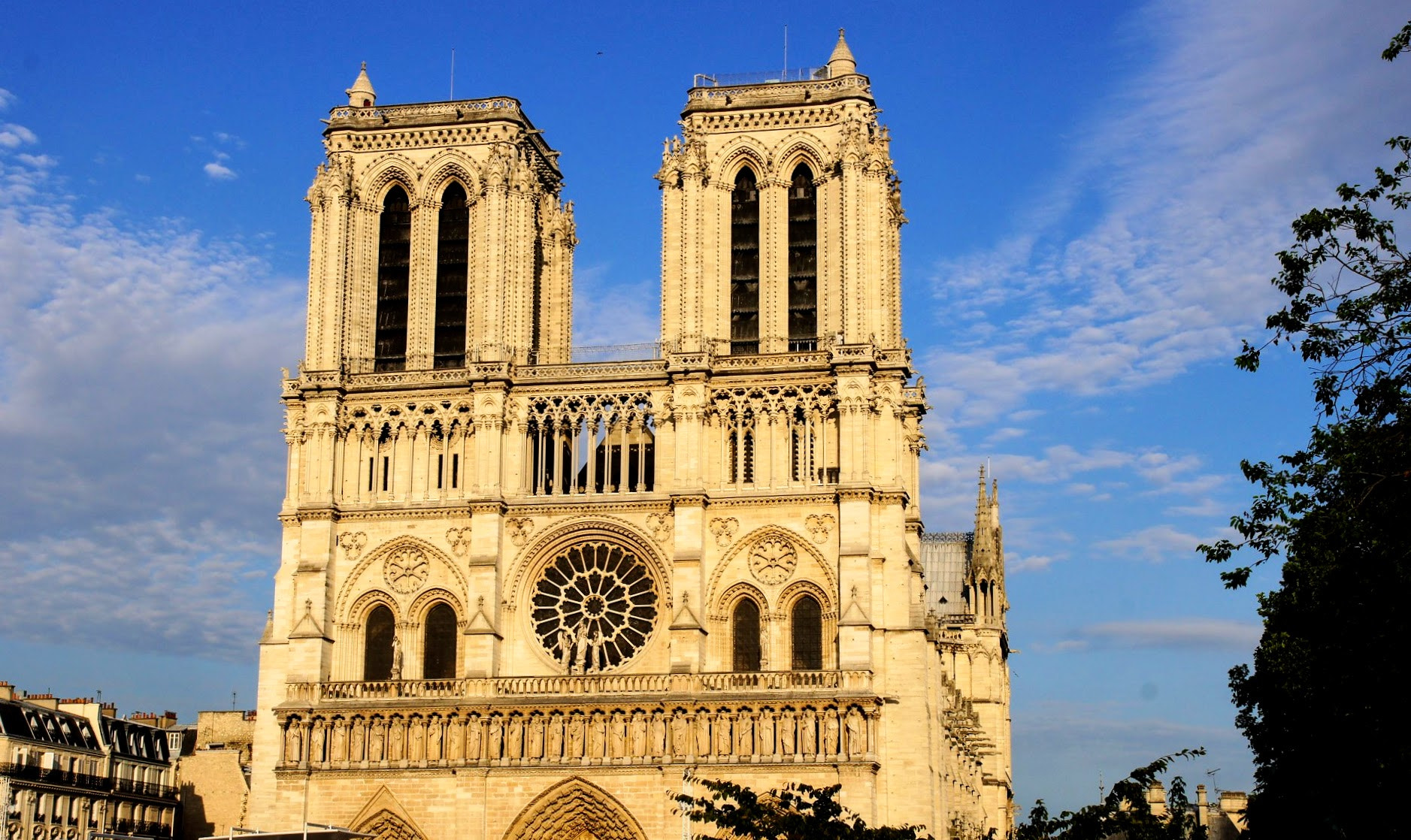 Sony SLT-A33 sample photo. Notre dame paris photography