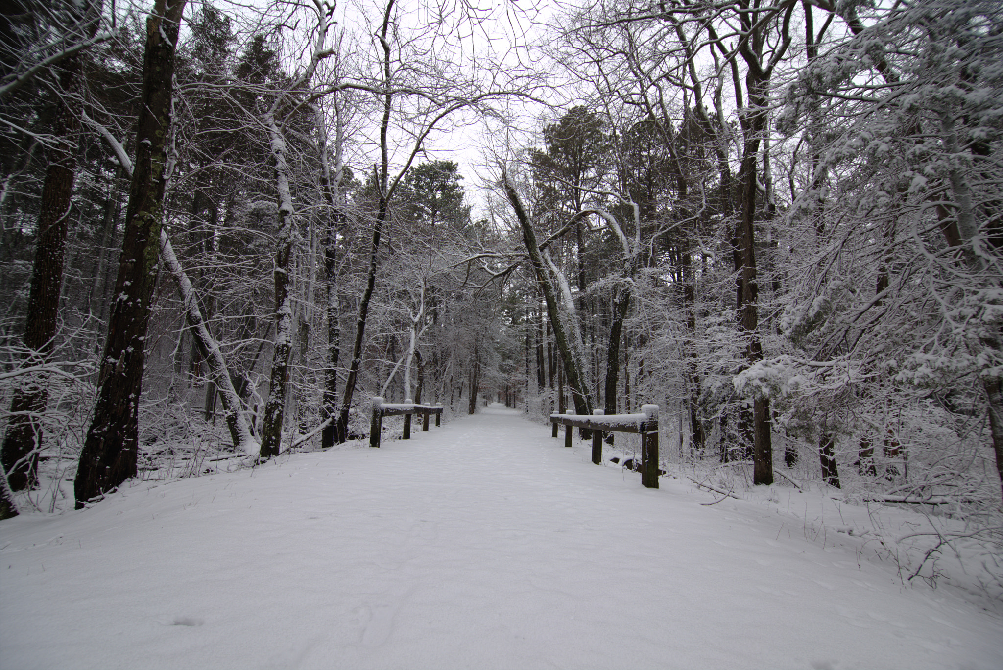 Canon EOS 6D sample photo. First snowfall - foot bridge photography
