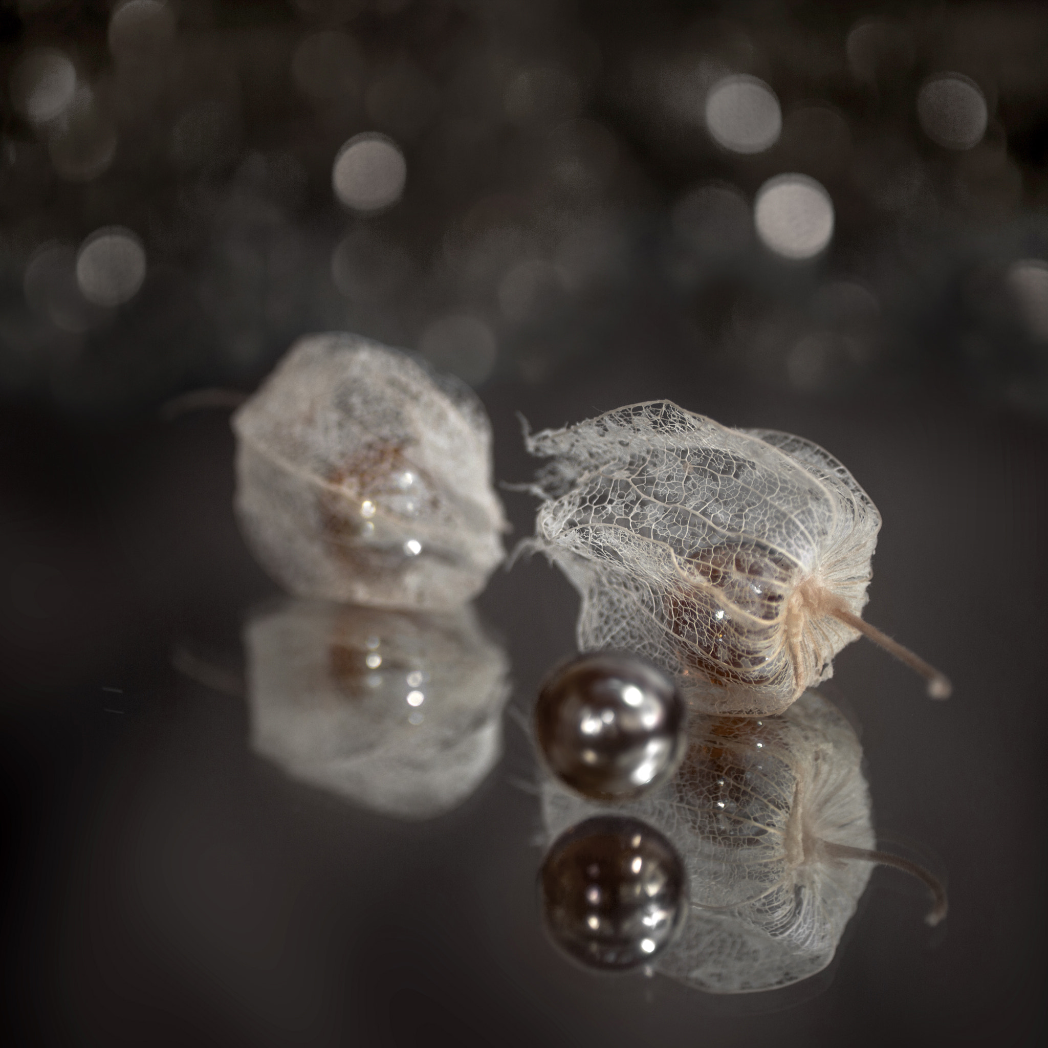 Canon EF 50mm F2.5 Macro sample photo. More precious than gold photography