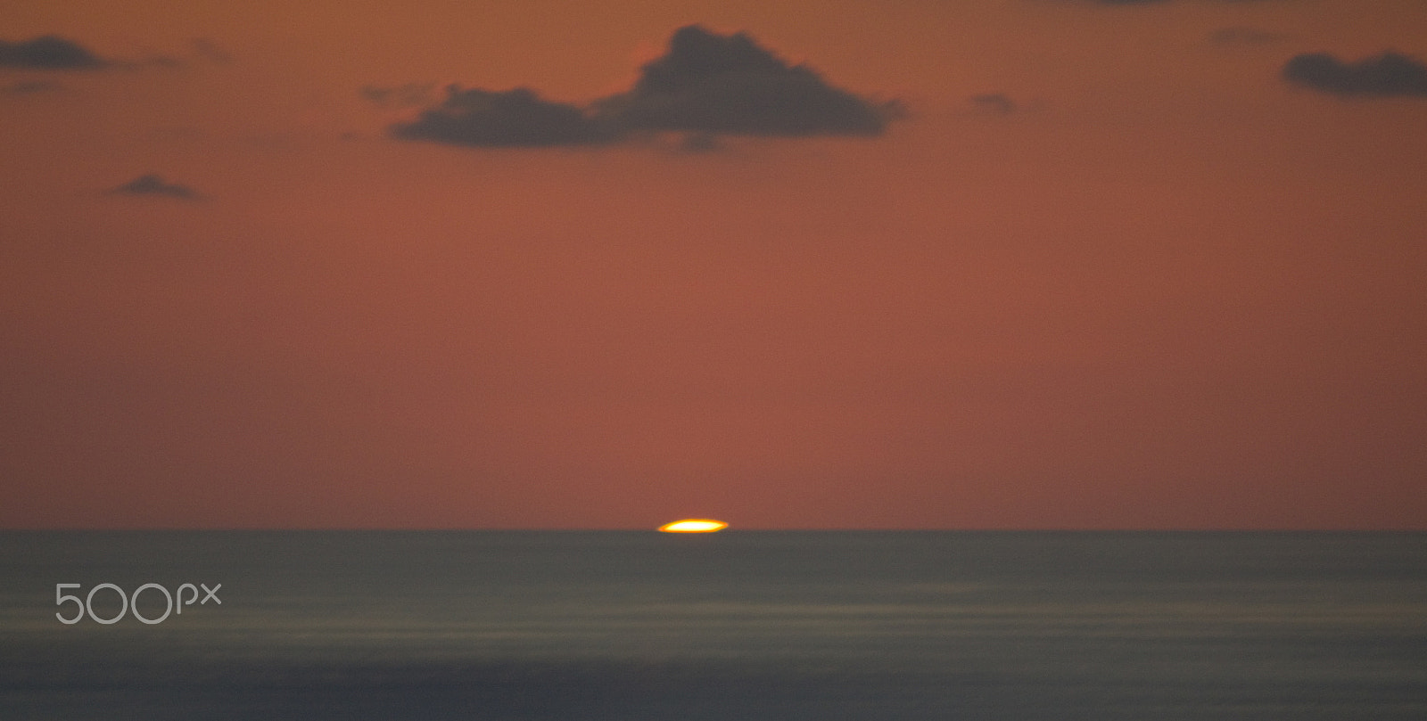 Canon EOS 50D + EF75-300mm f/4-5.6 sample photo. The last flicker photography