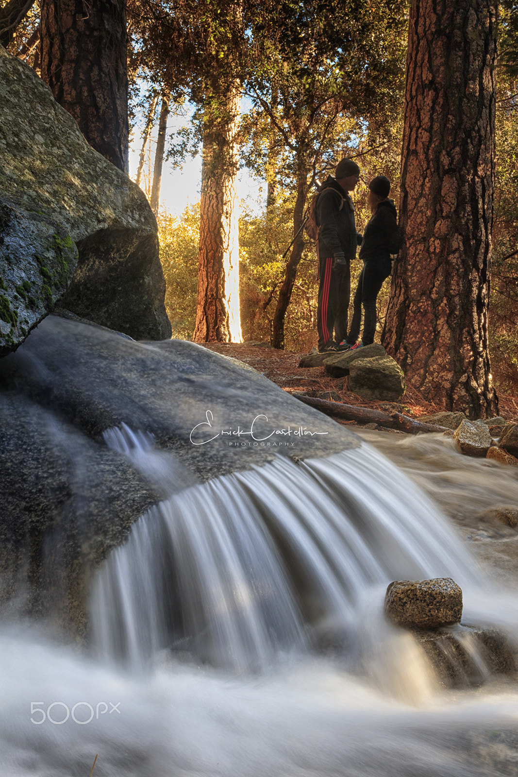 Canon EF 24-70mm F2.8L II USM sample photo. For the love of nature photography