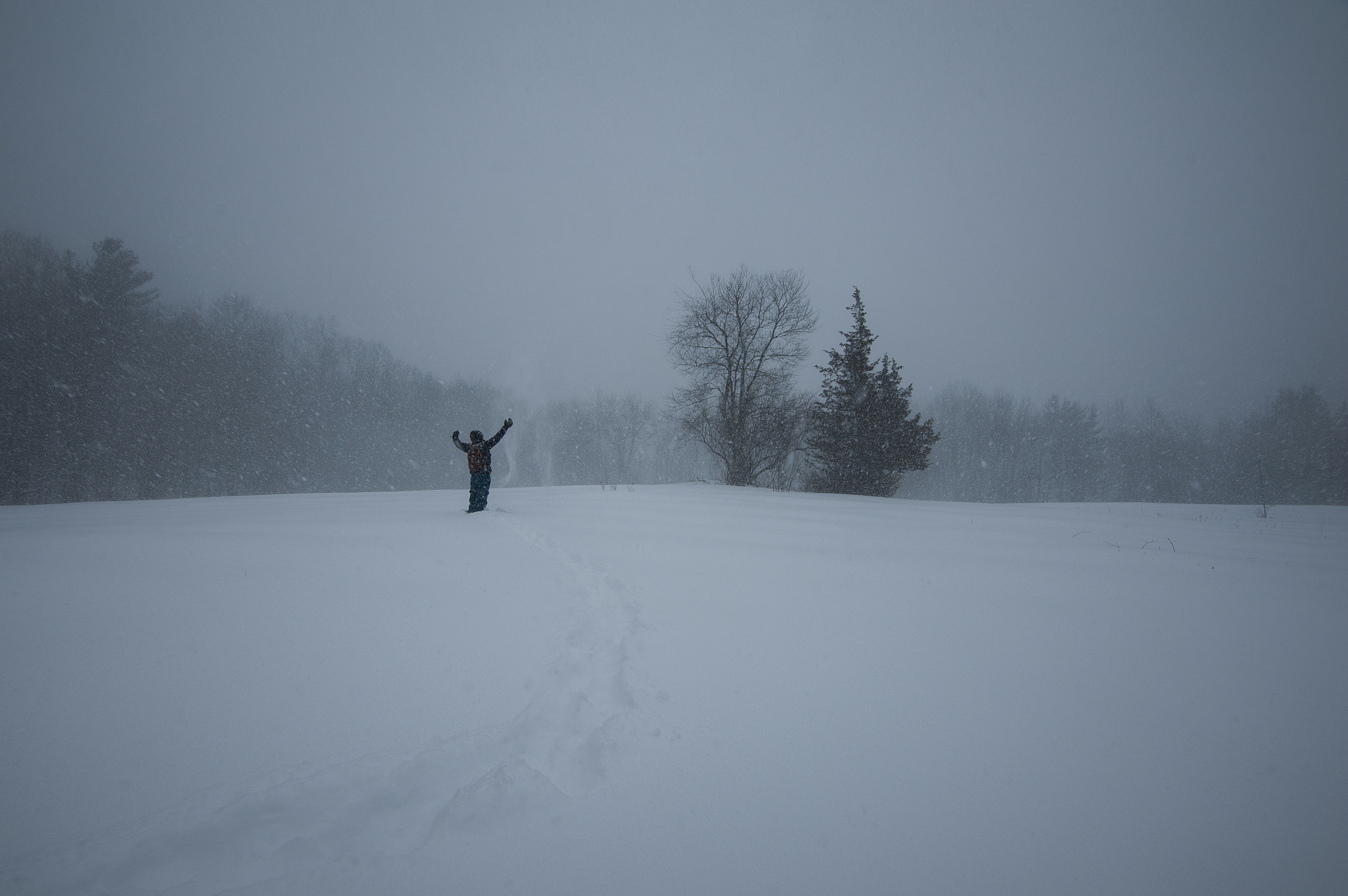 Nikon D700 + Nikon AF-S Nikkor 16-35mm F4G ED VR sample photo. Blizzard photography