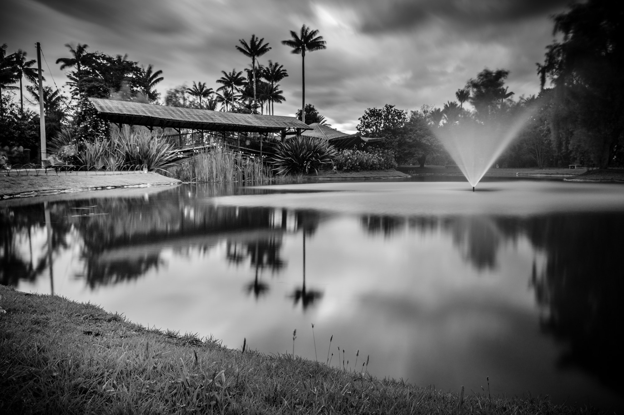 Sigma 17-70mm F2.8-4 DC Macro OS HSM | C sample photo. Jardin botánico photography