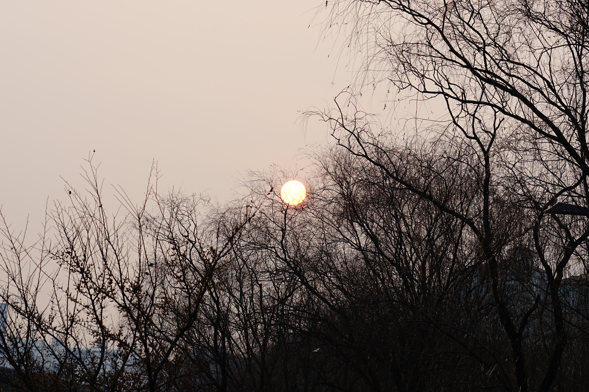 Sony a7R II sample photo. Winter sun in seoul photography