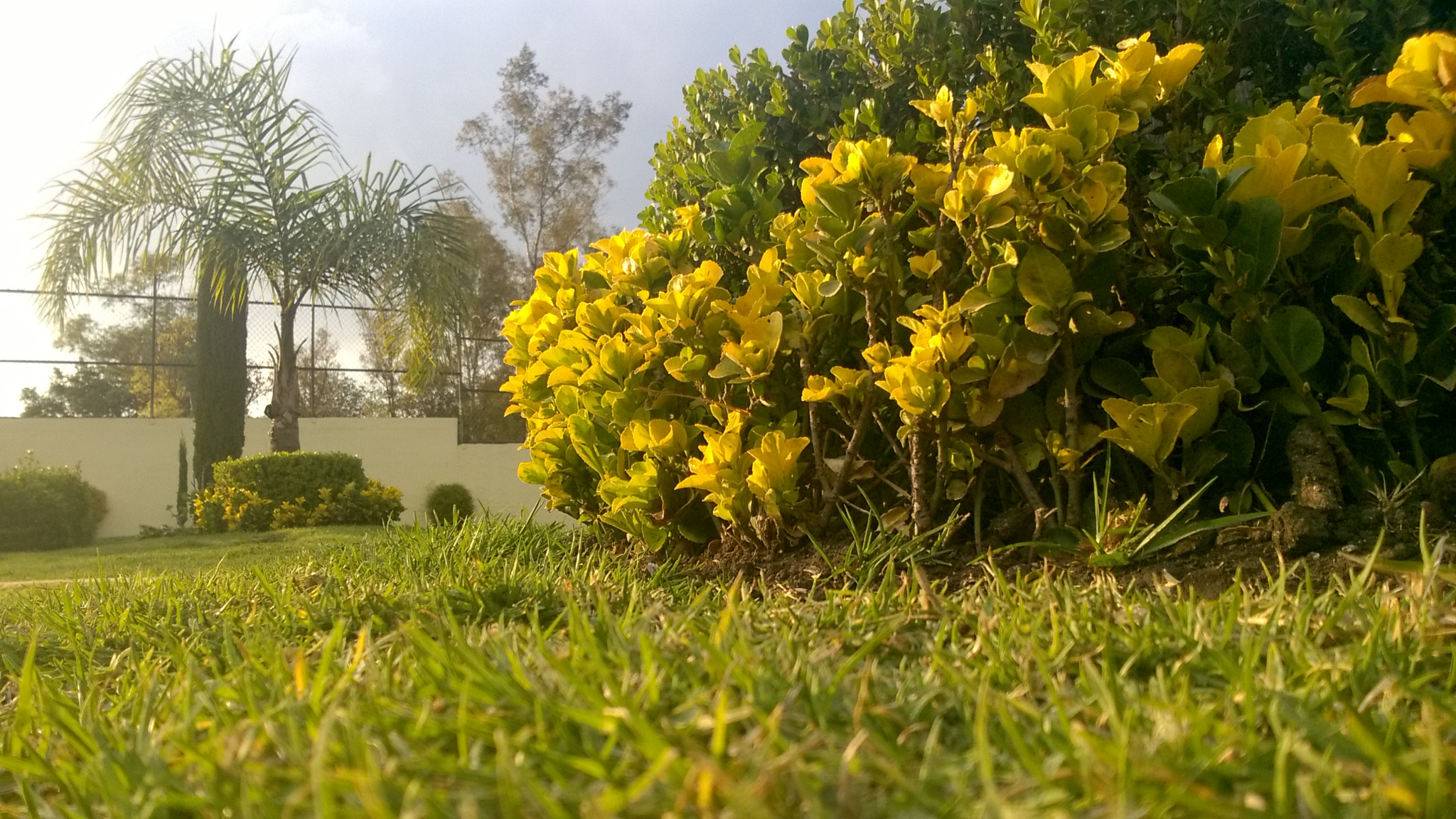 Nokia Lumia 735 sample photo. Landscape 1 photography