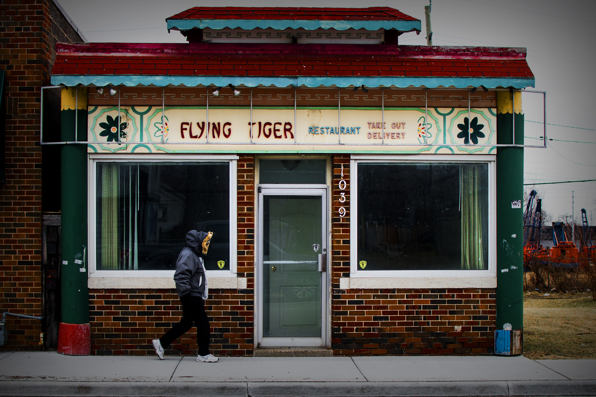 Nikon D500 sample photo. Flying tiger. windsor, on. photography