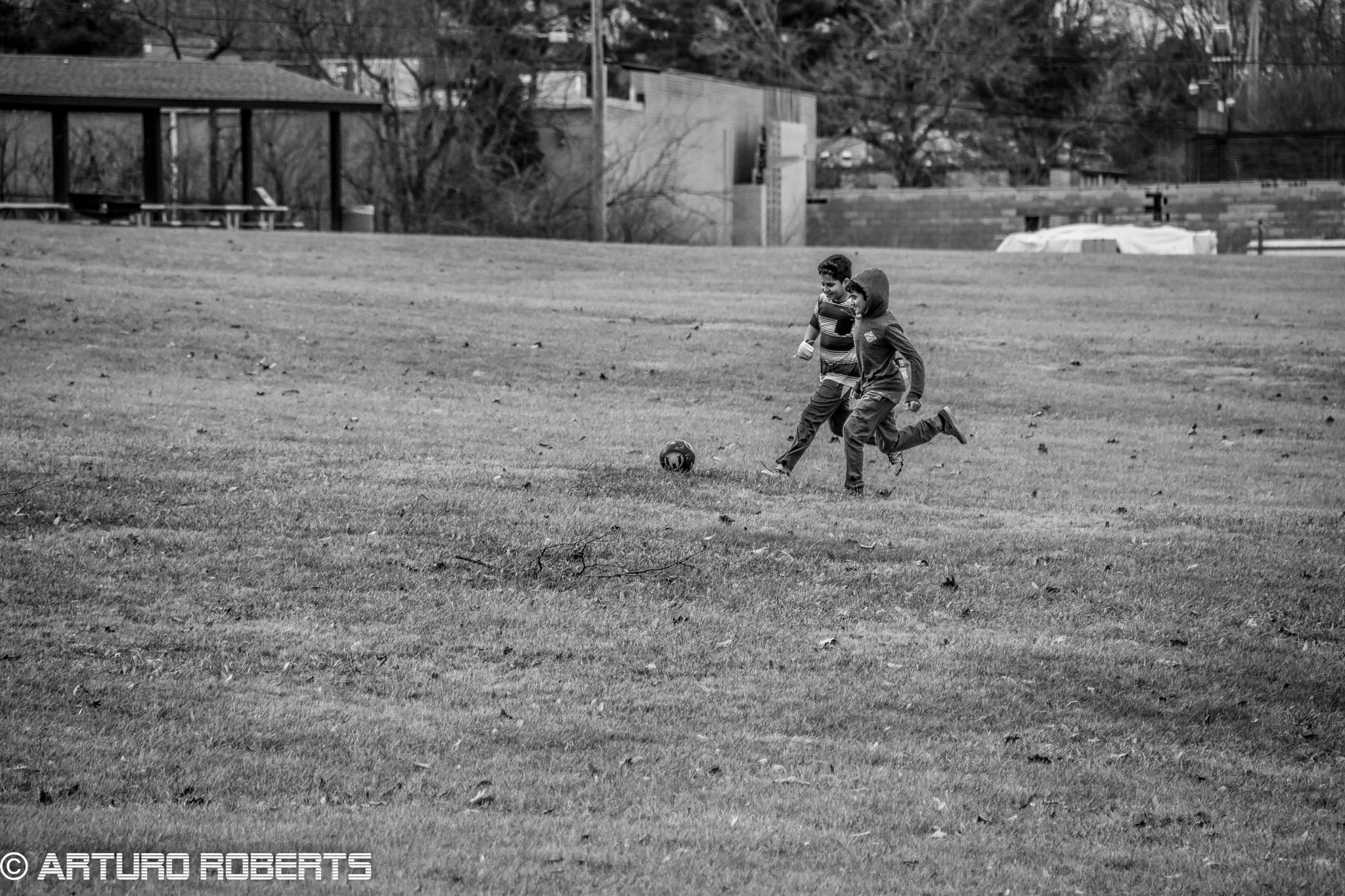 Nikon D5500 sample photo. Friendly game photography