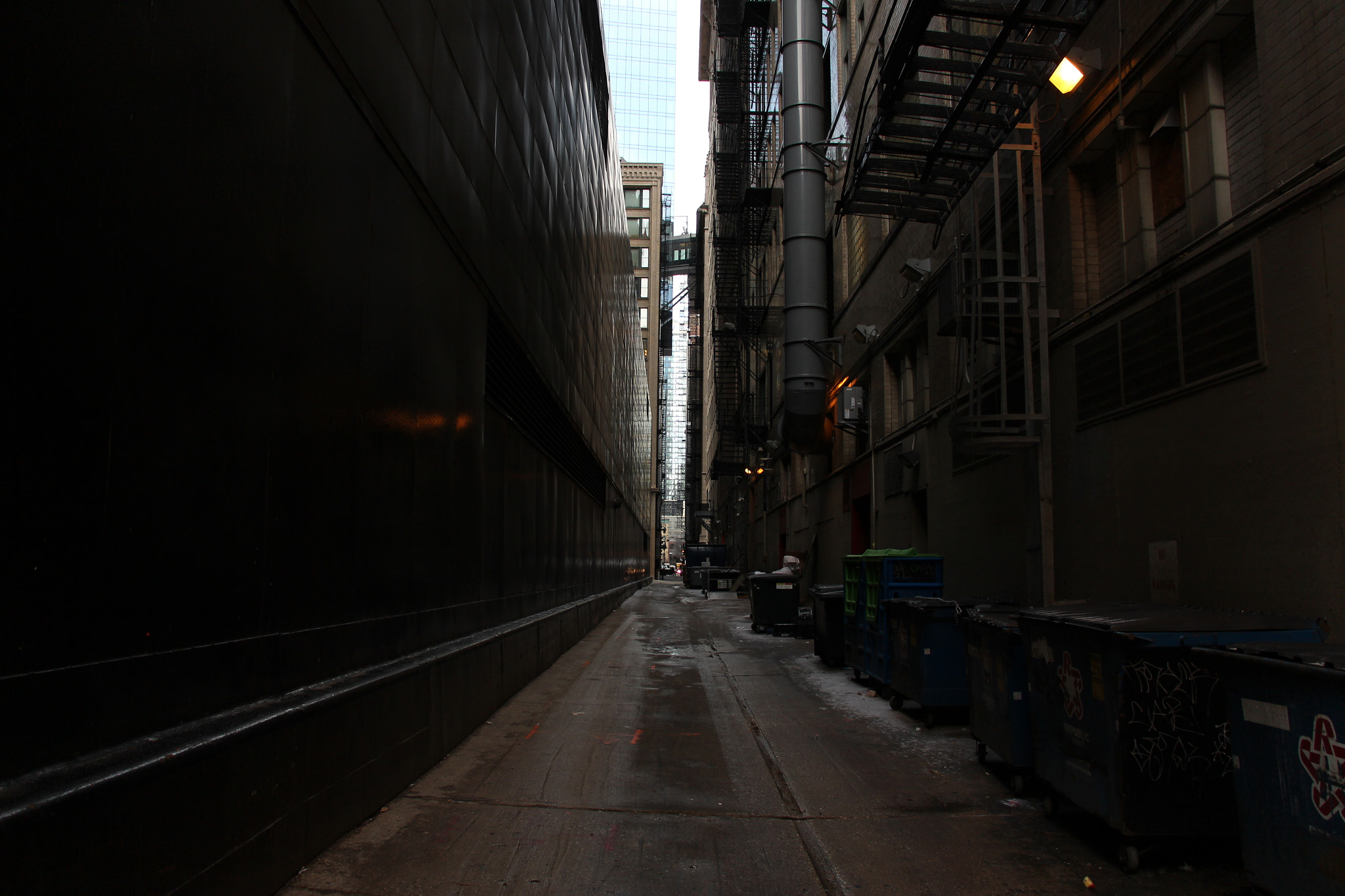 Canon EOS 650D (EOS Rebel T4i / EOS Kiss X6i) + Canon EF 50mm f/1.8 sample photo. Darkspots photography