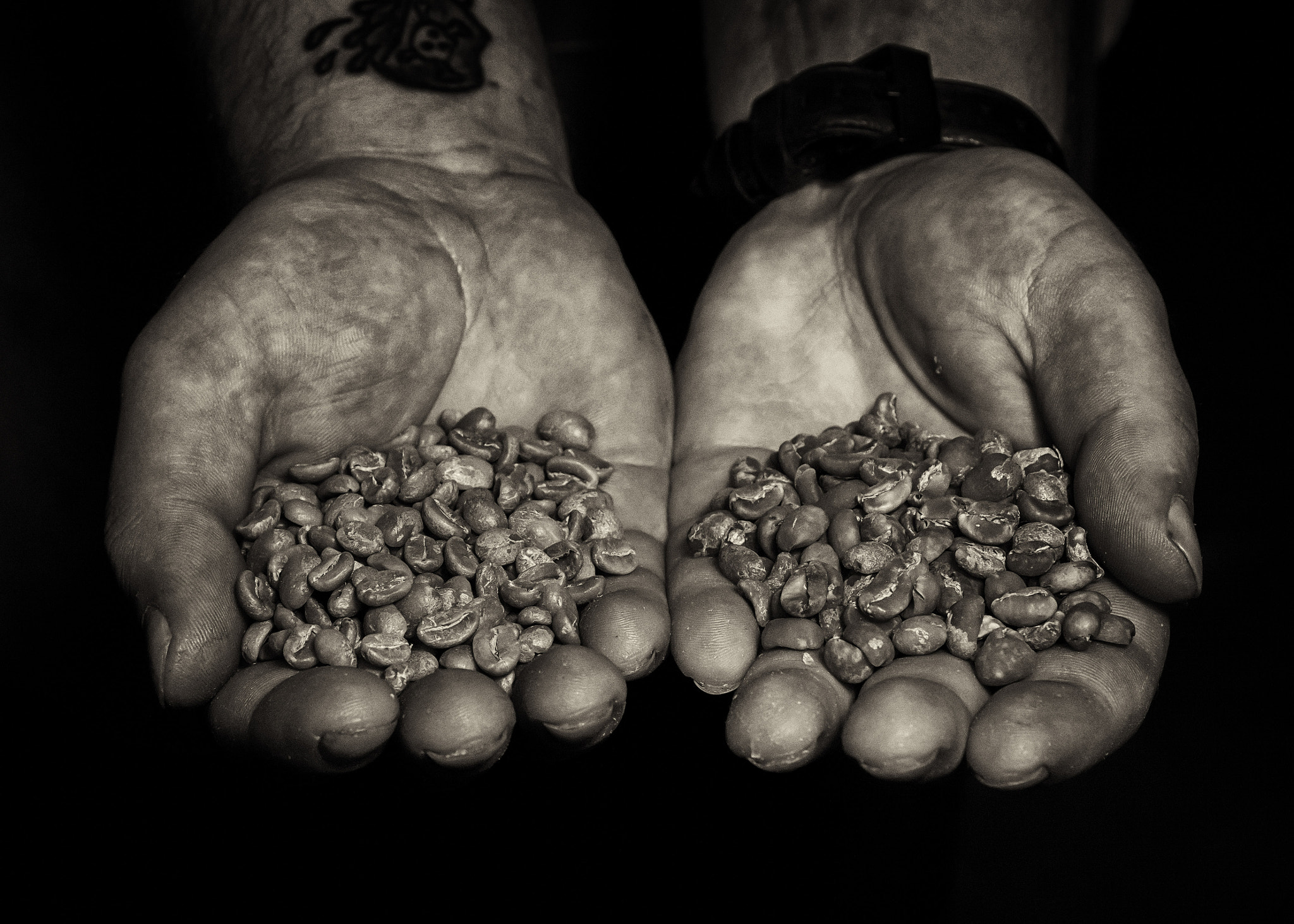 Pentax K-3 II sample photo. Working man hands photography