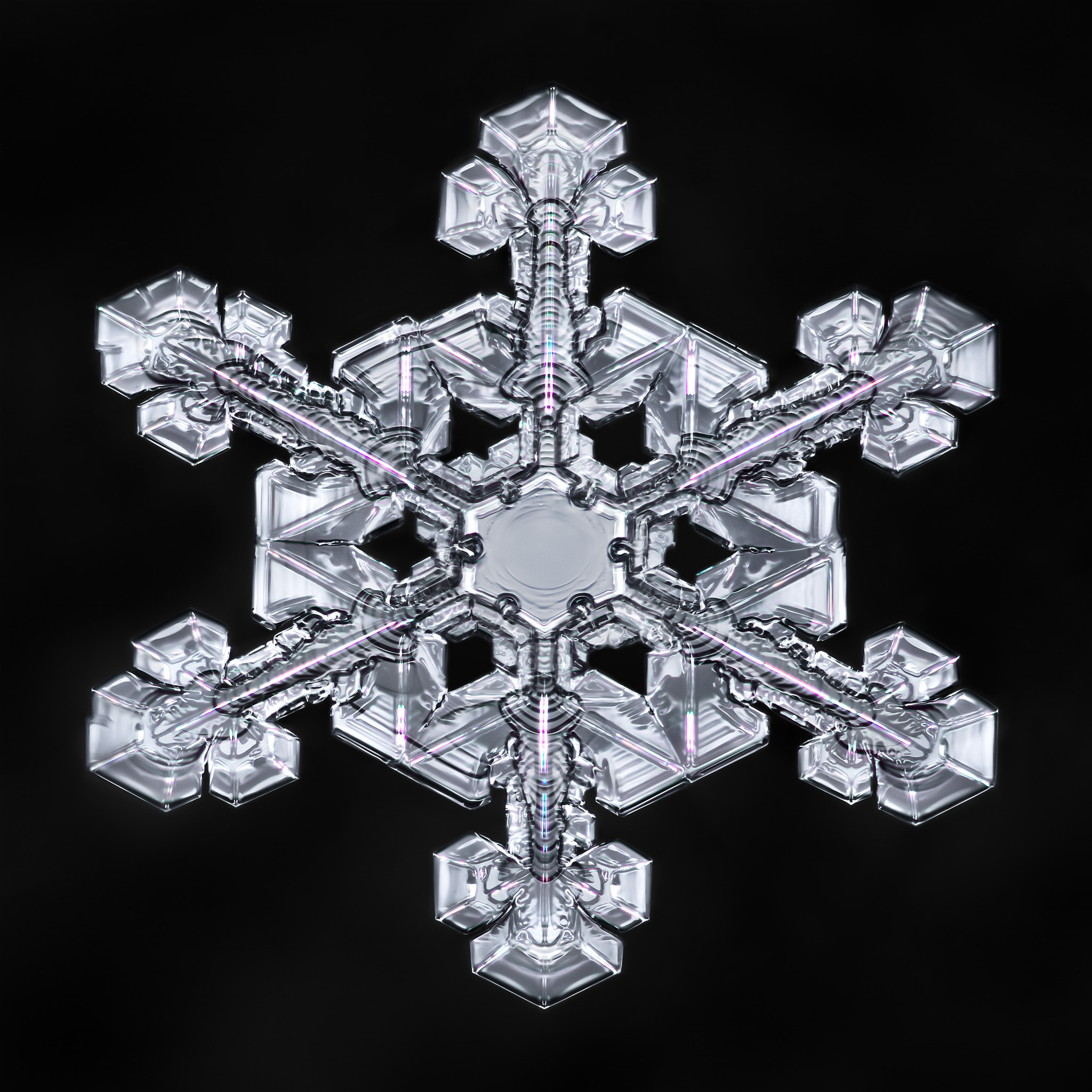 Canon MP-E 65mm F2.5 1-5x Macro Photo sample photo. Snowflake-a-day #52 photography