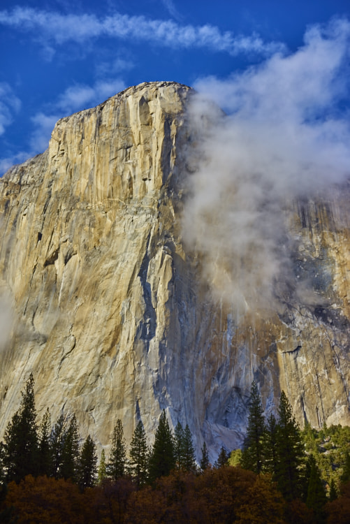 Sony a7R + Sony Sonnar T* FE 35mm F2.8 ZA sample photo. El capitan photography