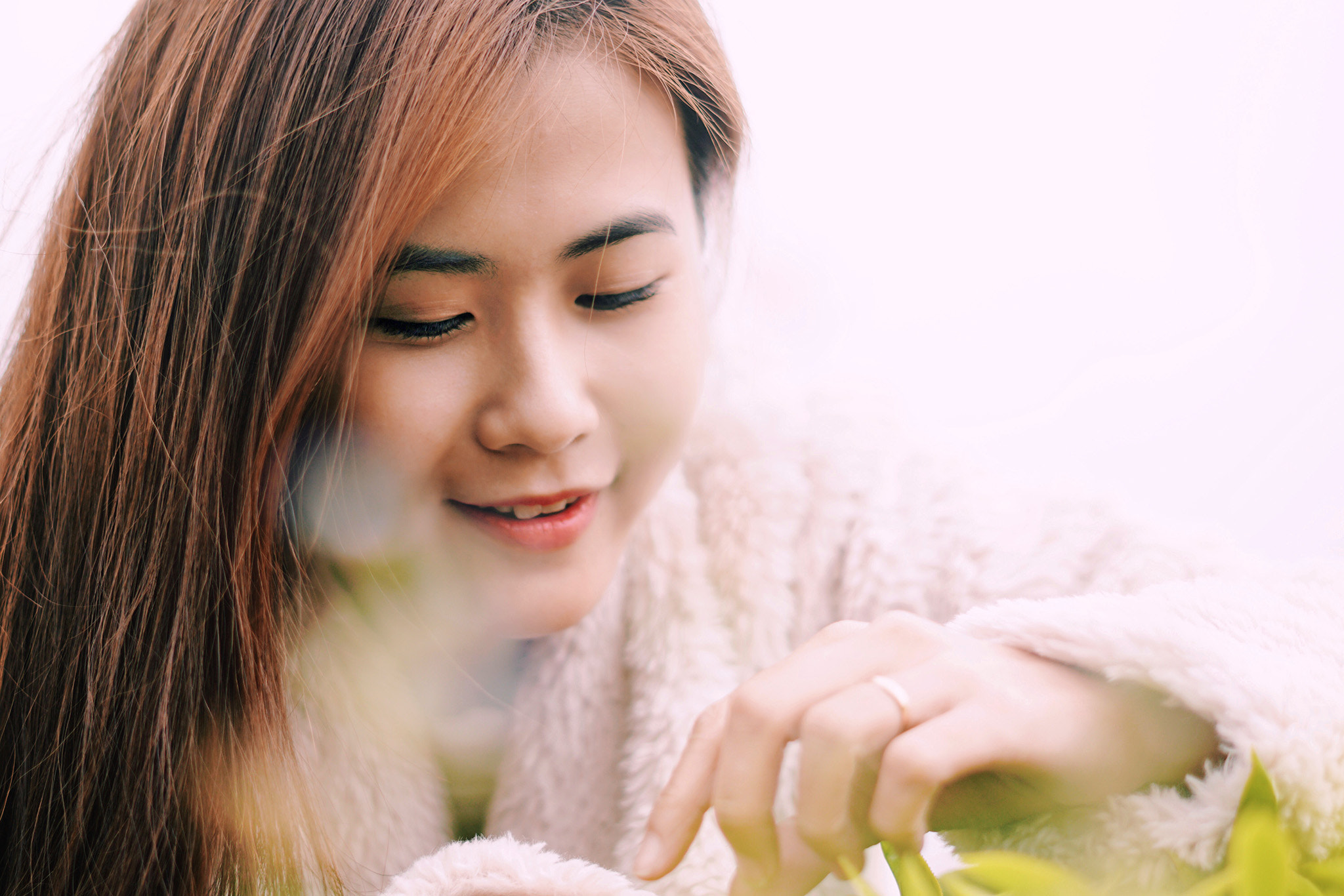 Sony FE 50mm F1.8 sample photo. Dalat - vietnam photography