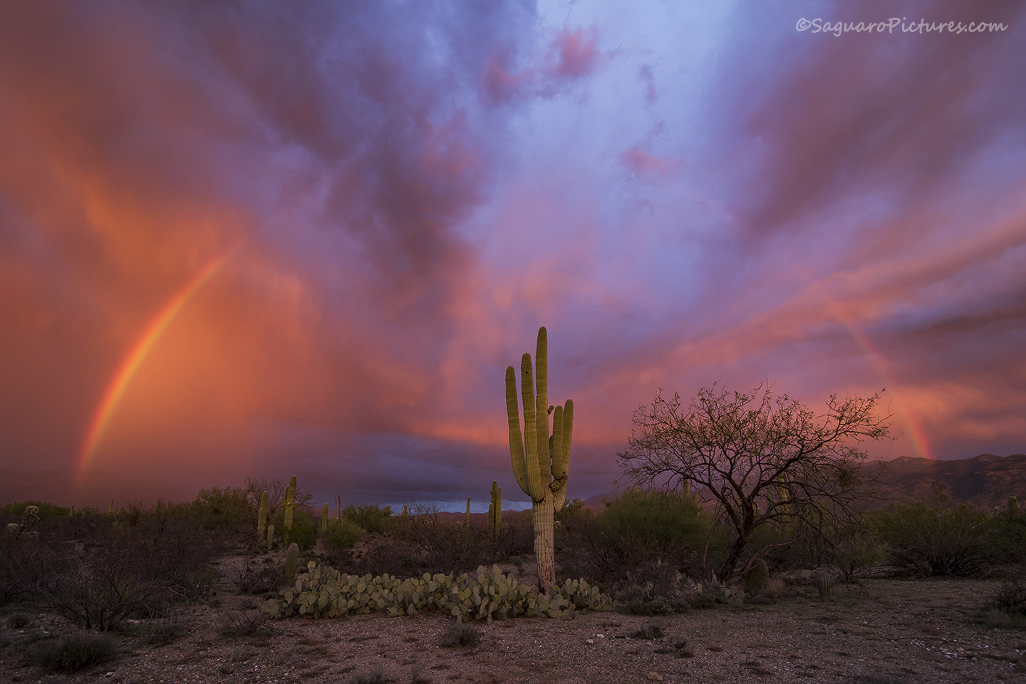 Tokina AT-X 16-28mm F2.8 Pro FX sample photo. Rainbow sunset photography