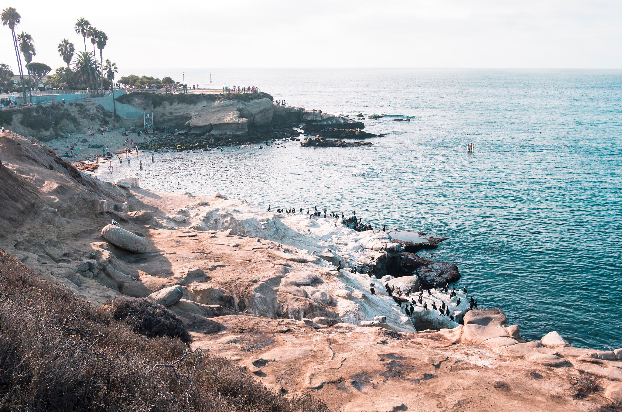 Summicron T 1:2 23 ASPH. sample photo. Shoreline. photography